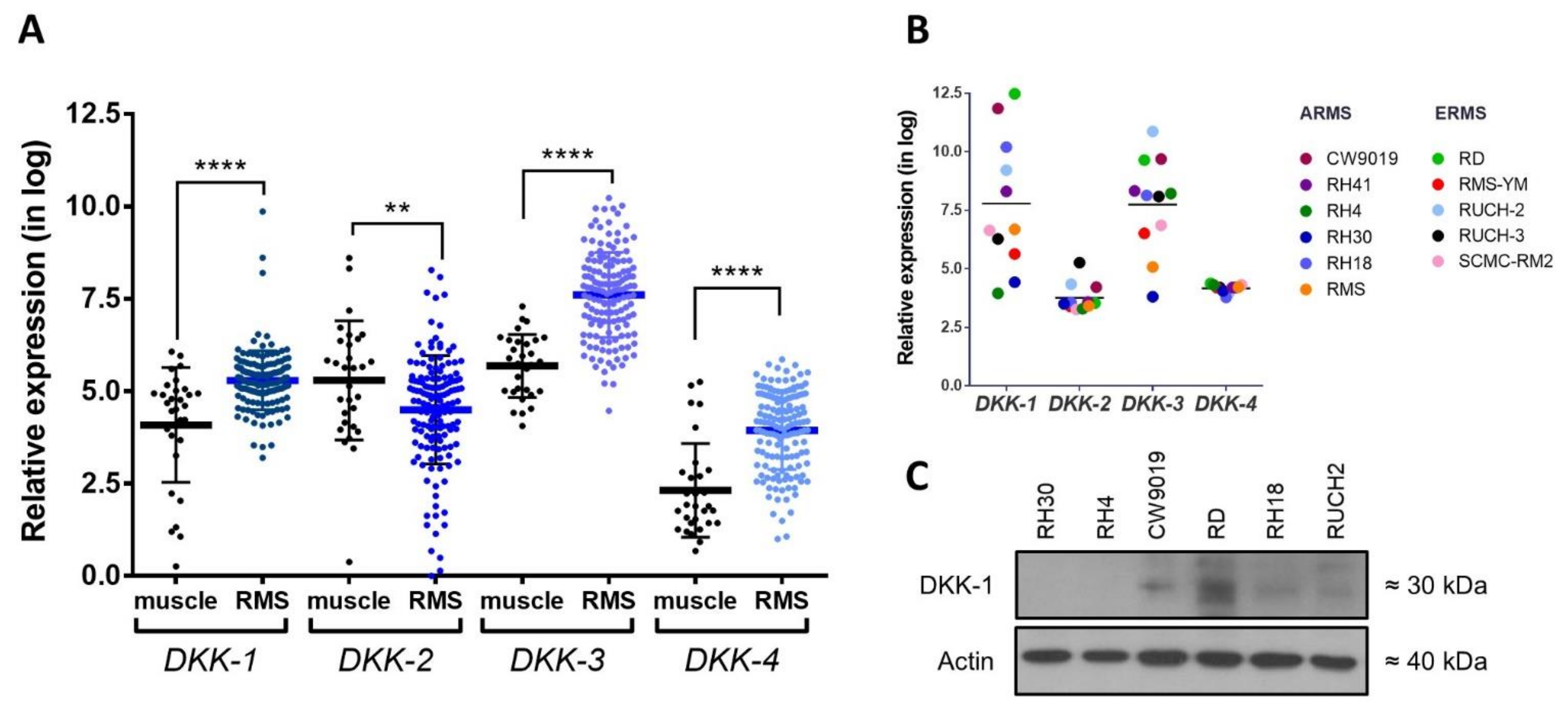 Ijms 22 12921 g001 Ijms 22 12921 g001