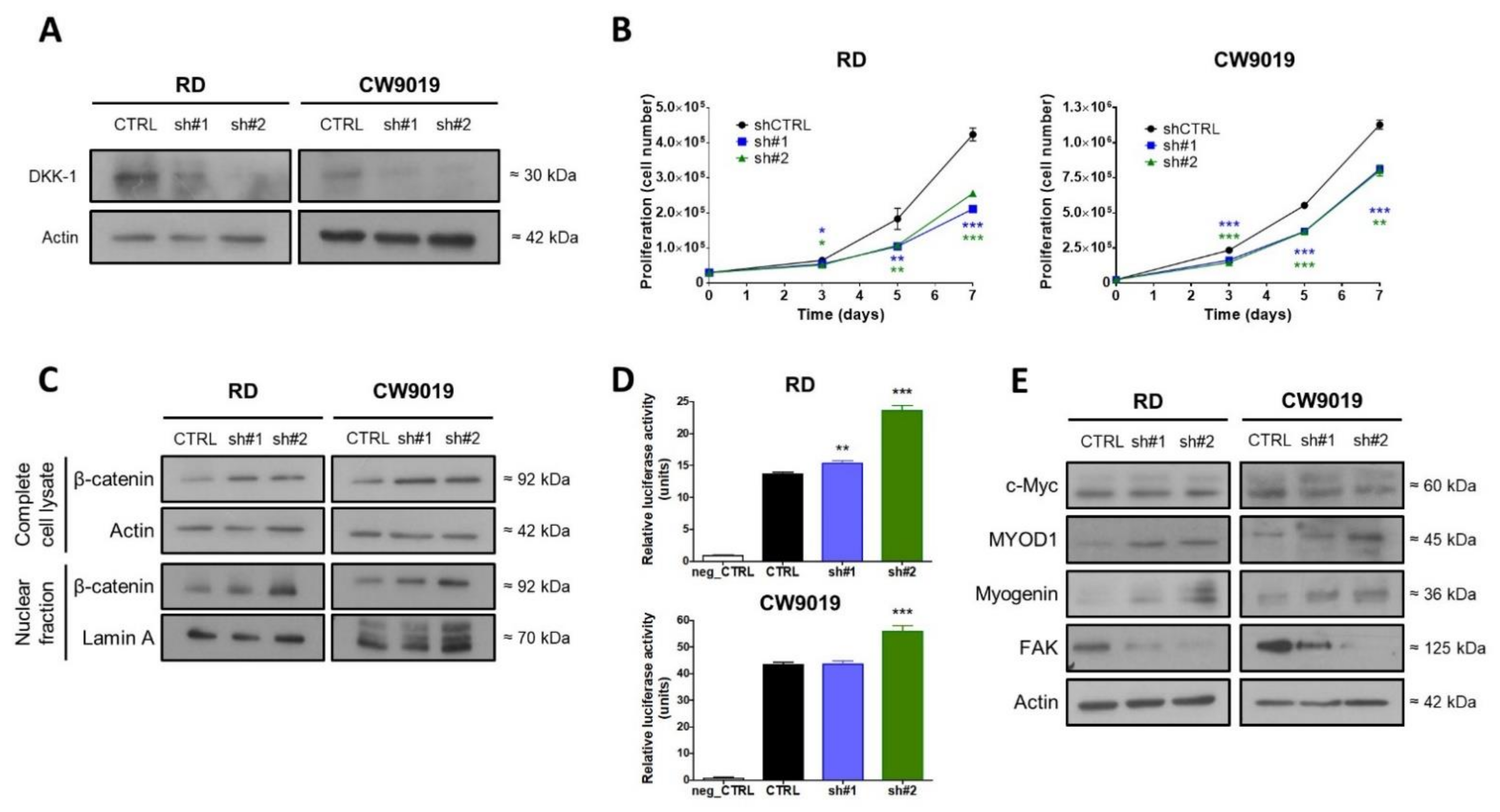 Ijms 22 12921 g002 Ijms 22 12921 g002