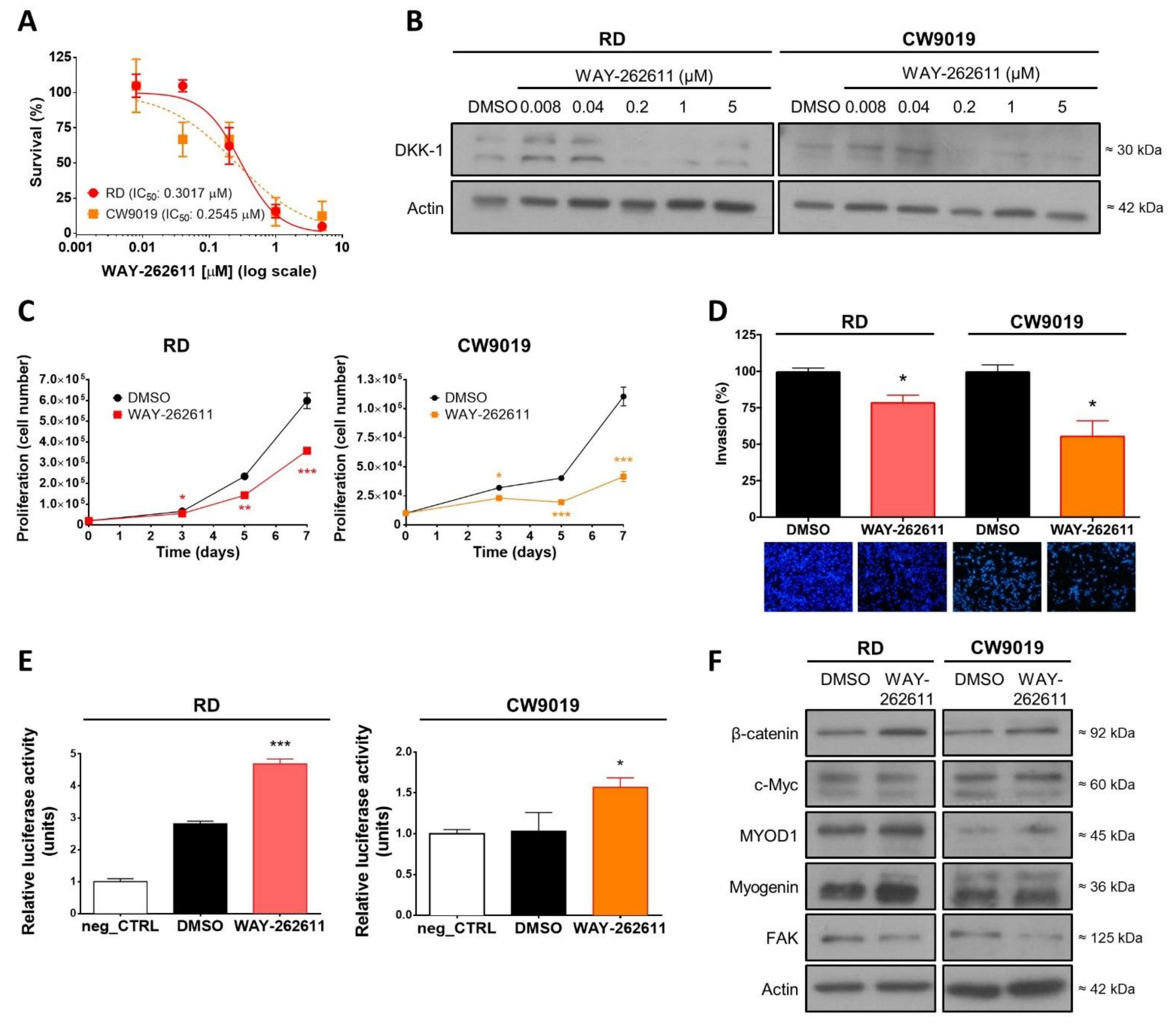 Ijms 22 12921 g003 Ijms 22 12921 g003