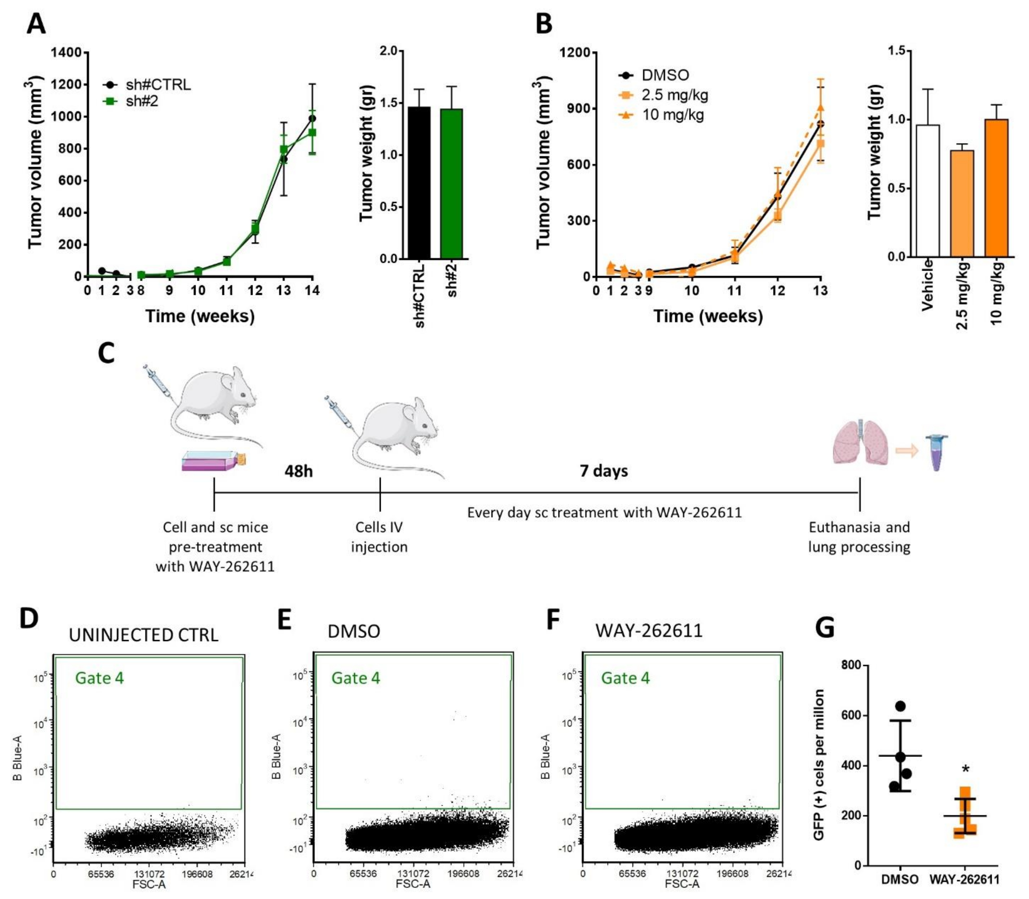 Ijms 22 12921 g004 Ijms 22 12921 g004