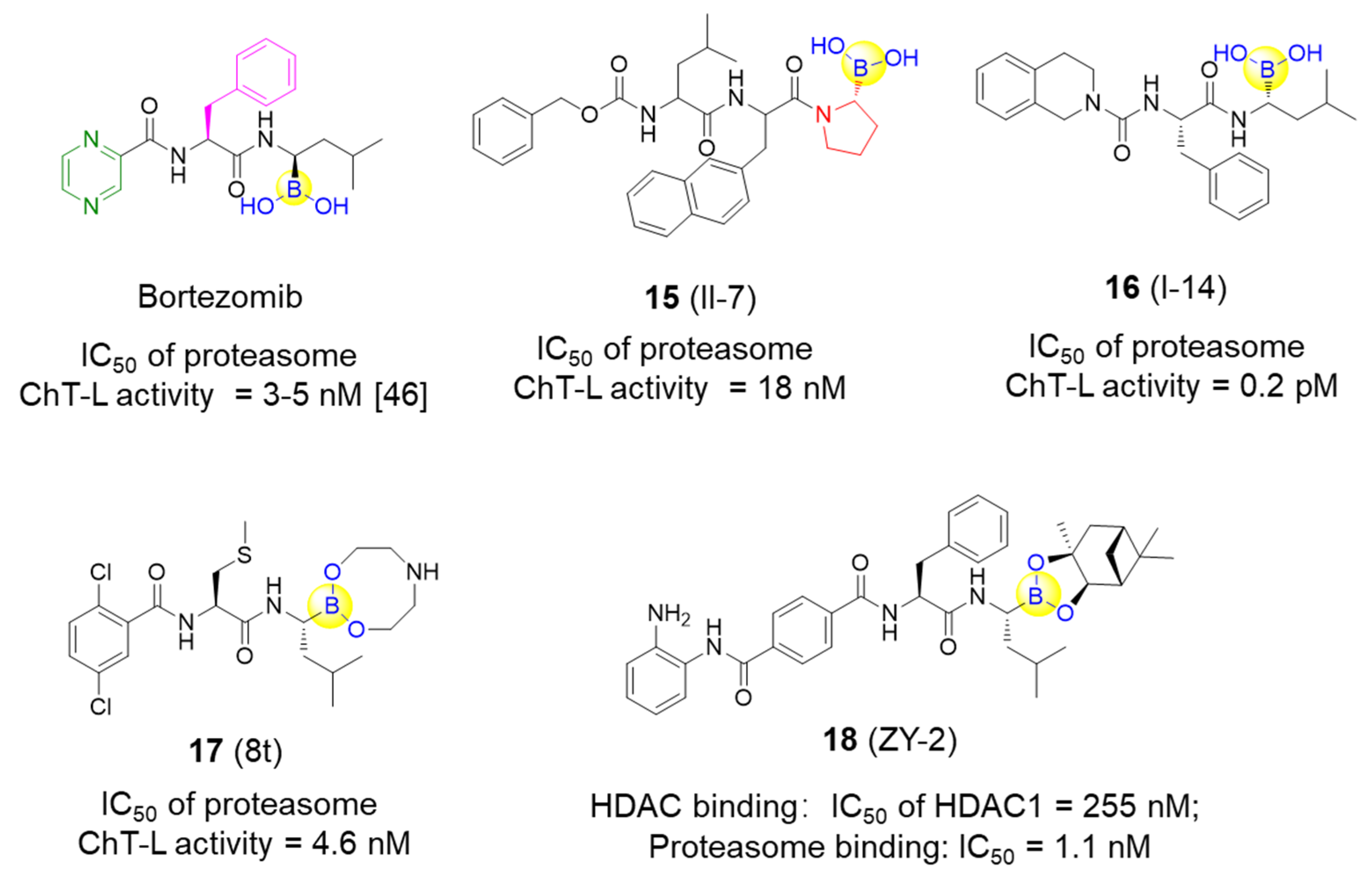 Ijms 22 12958 g005 Ijms 22 12958 g005