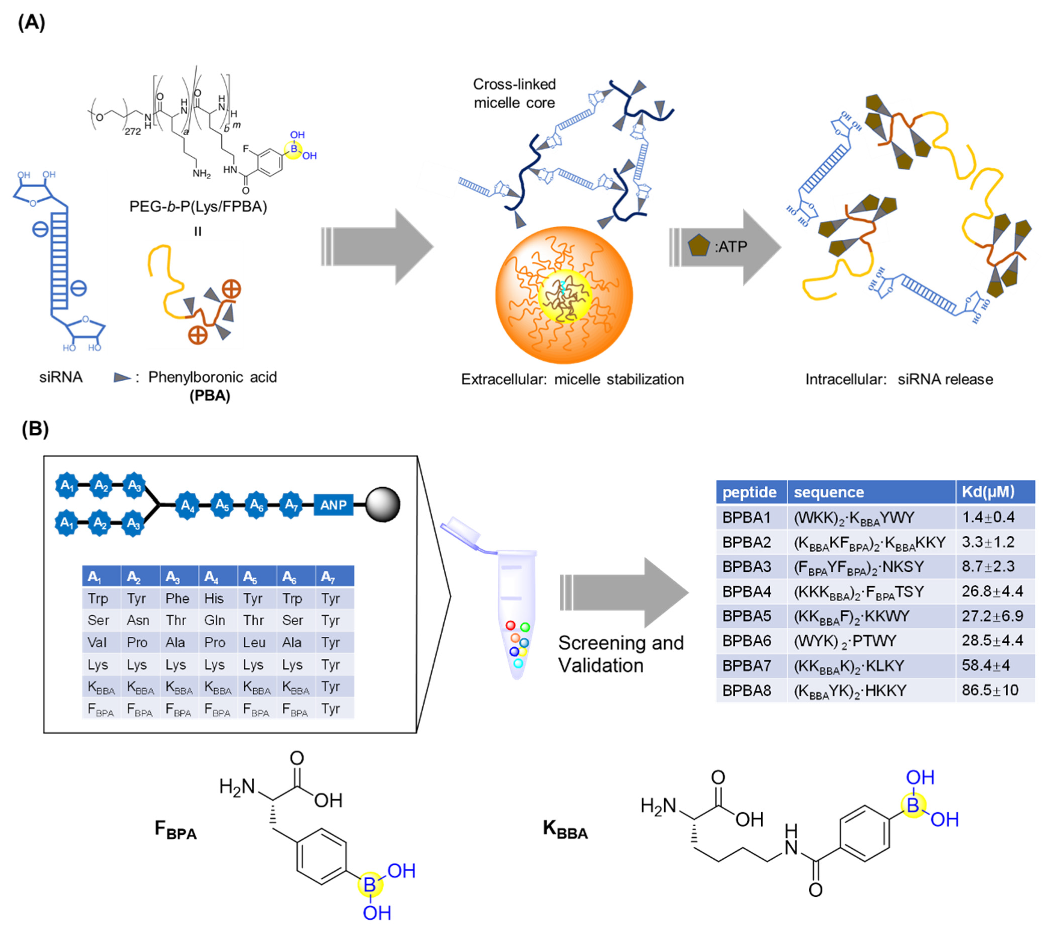 Ijms 22 12958 g009 Ijms 22 12958 g009