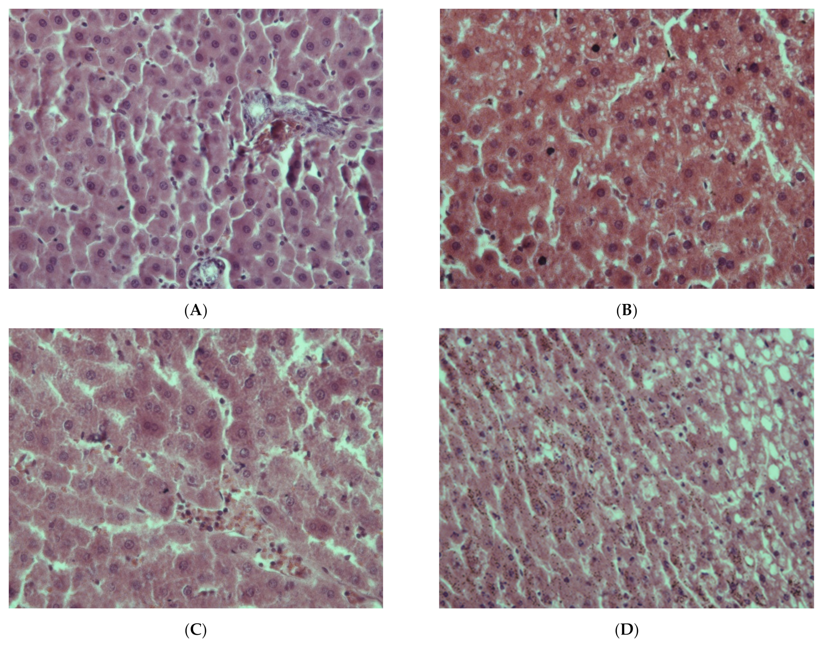 Ijms 22 13007 g001a Ijms 22 13007 g001a