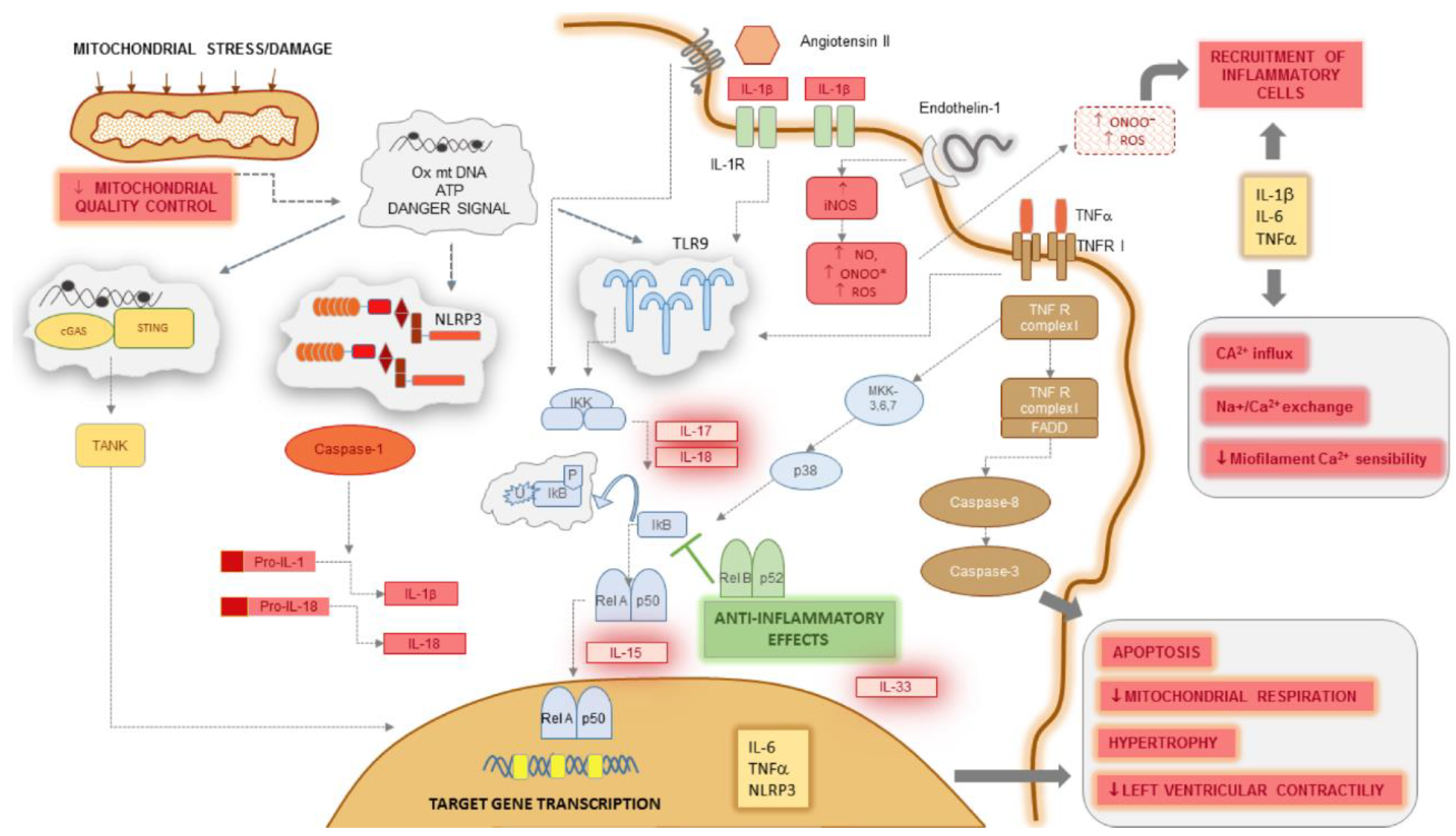 Ijms 22 13053 g001 Ijms 22 13053 g001