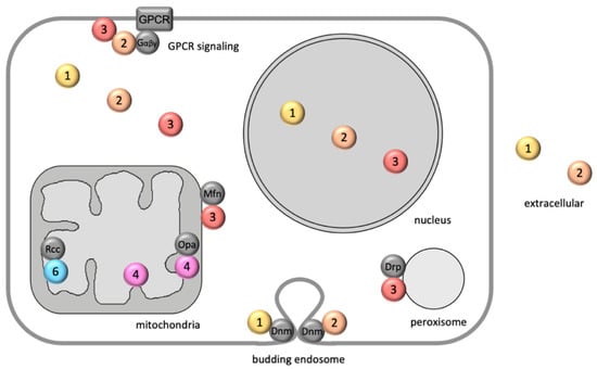 Ijms 22 13083 g001 550