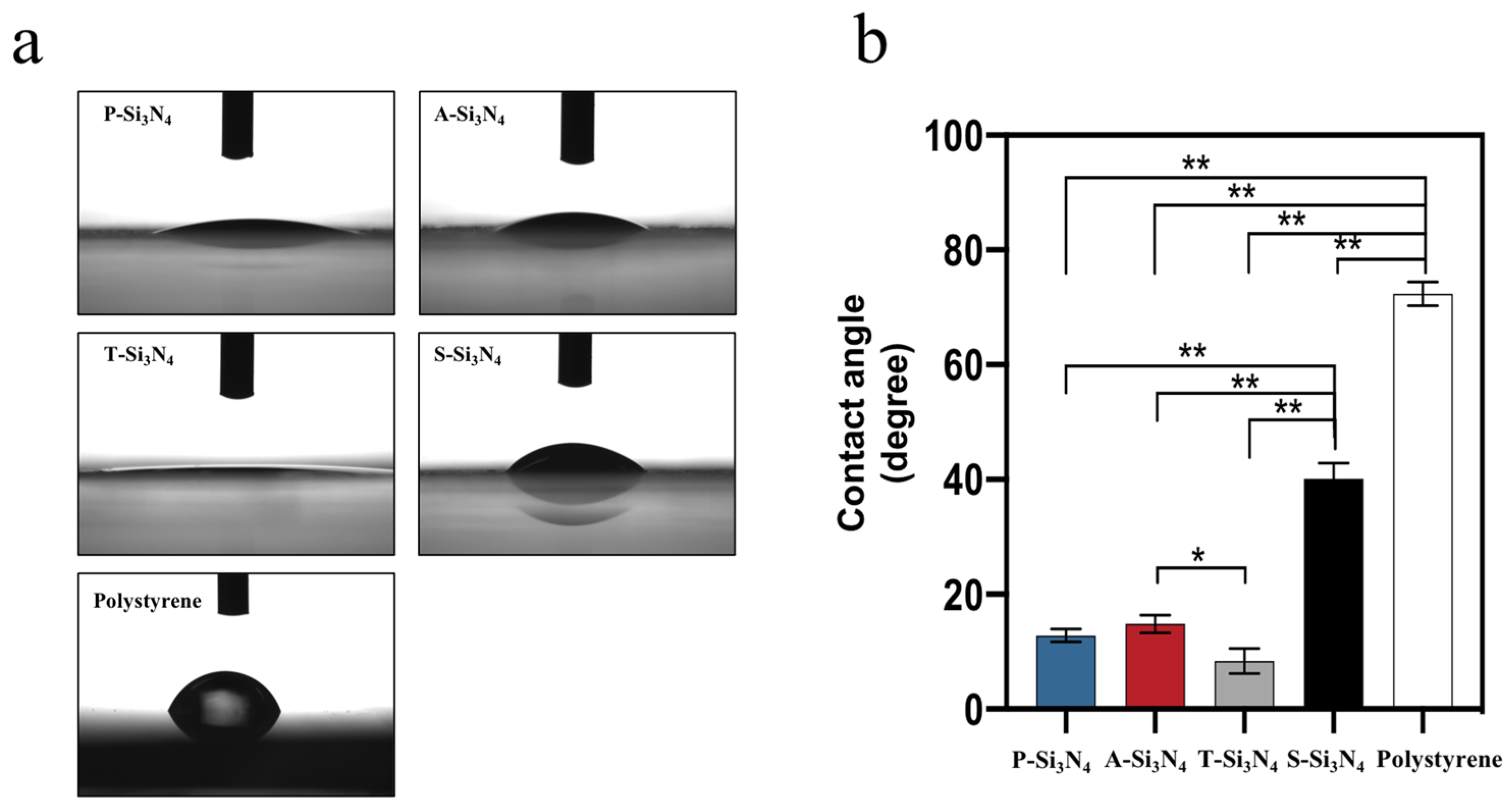 Ijms 22 13130 g008