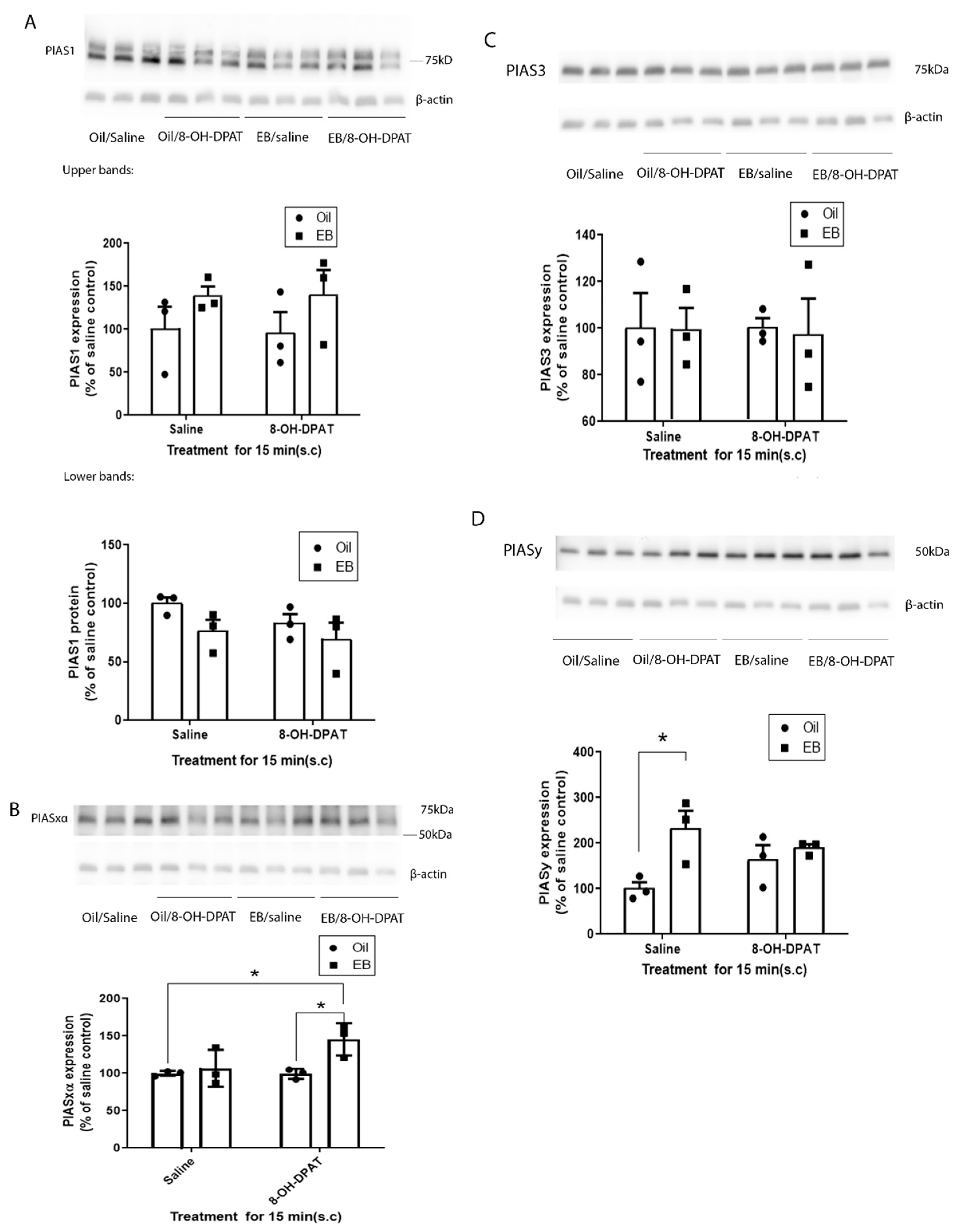 Ijms 22 13176 g002 Ijms 22 13176 g002