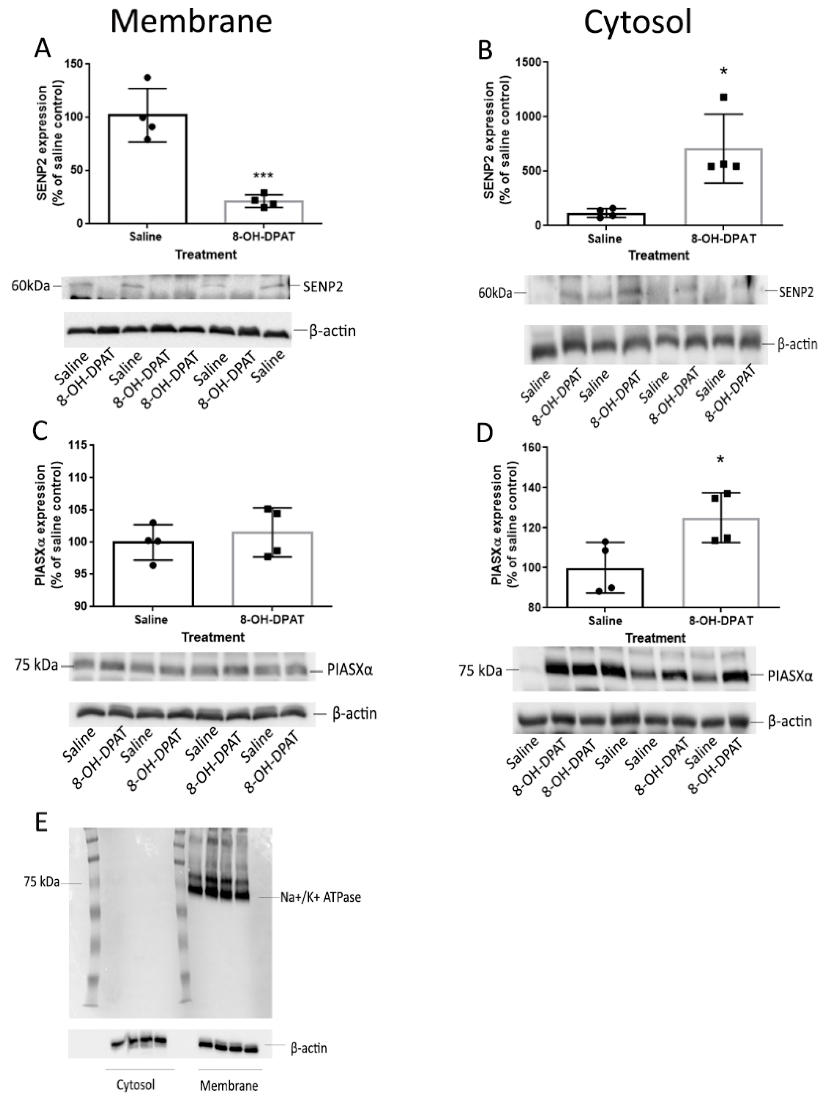 Ijms 22 13176 g004 Ijms 22 13176 g004