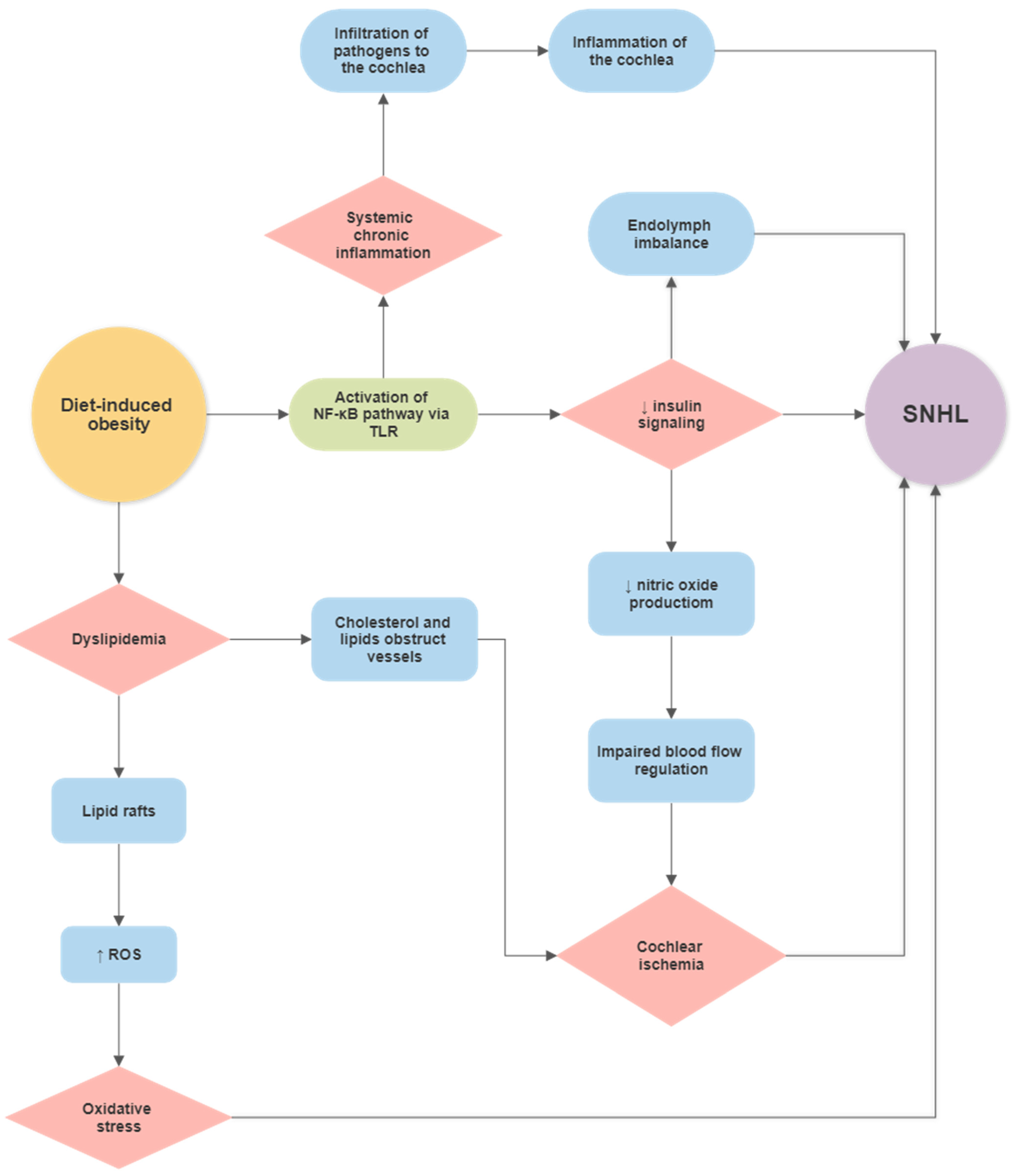 Ijms 22 13177 g002 Ijms 22 13177 g002