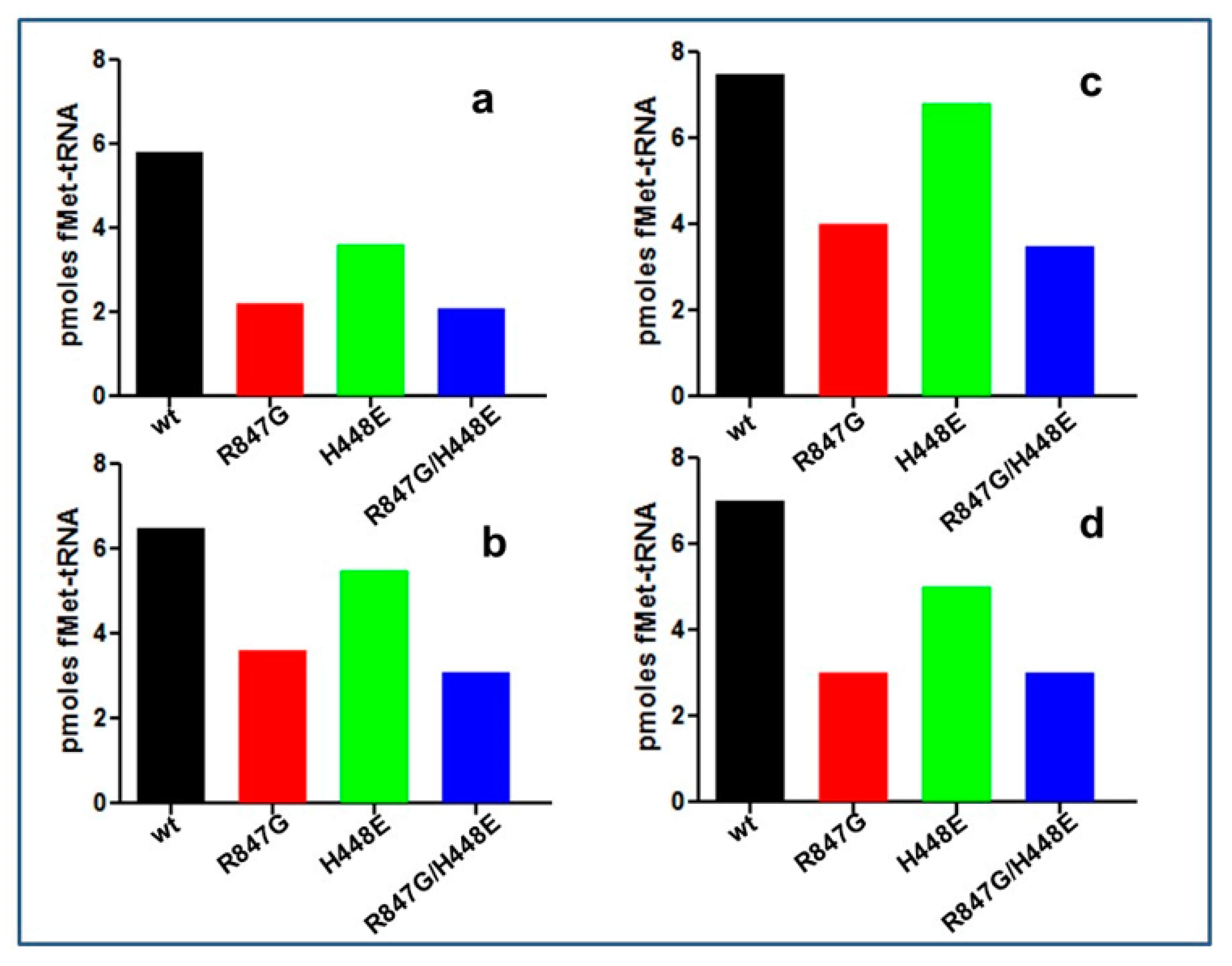 Ijms 22 13238 g005 Ijms 22 13238 g005