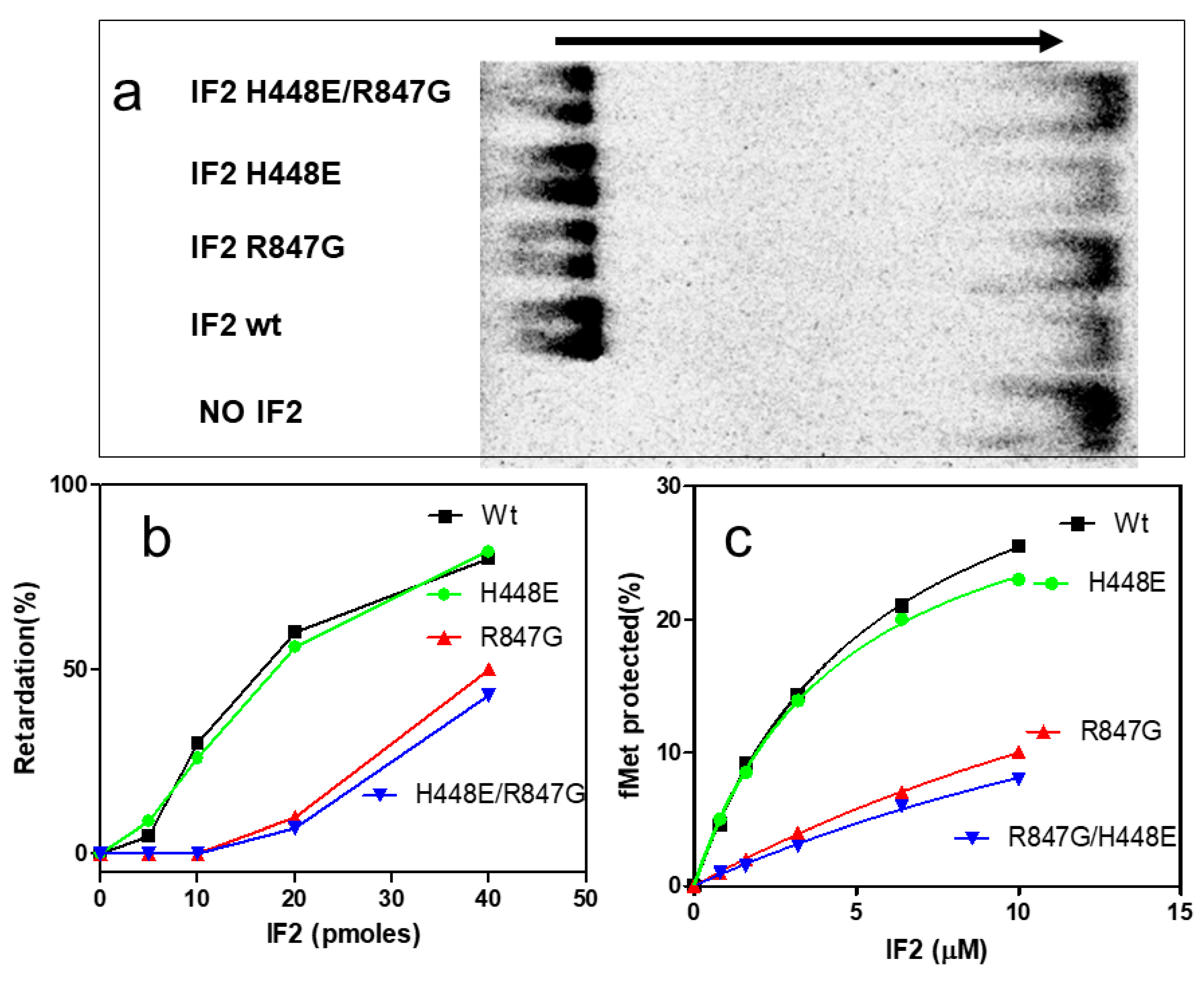 Ijms 22 13238 g006 Ijms 22 13238 g006