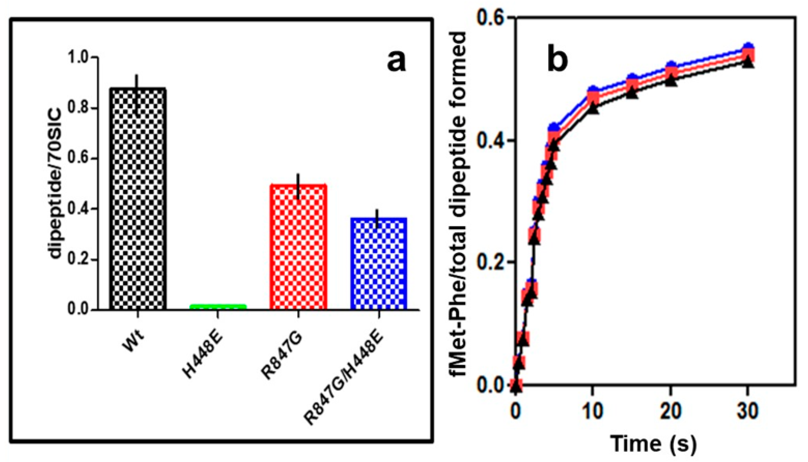 Ijms 22 13238 g007 Ijms 22 13238 g007