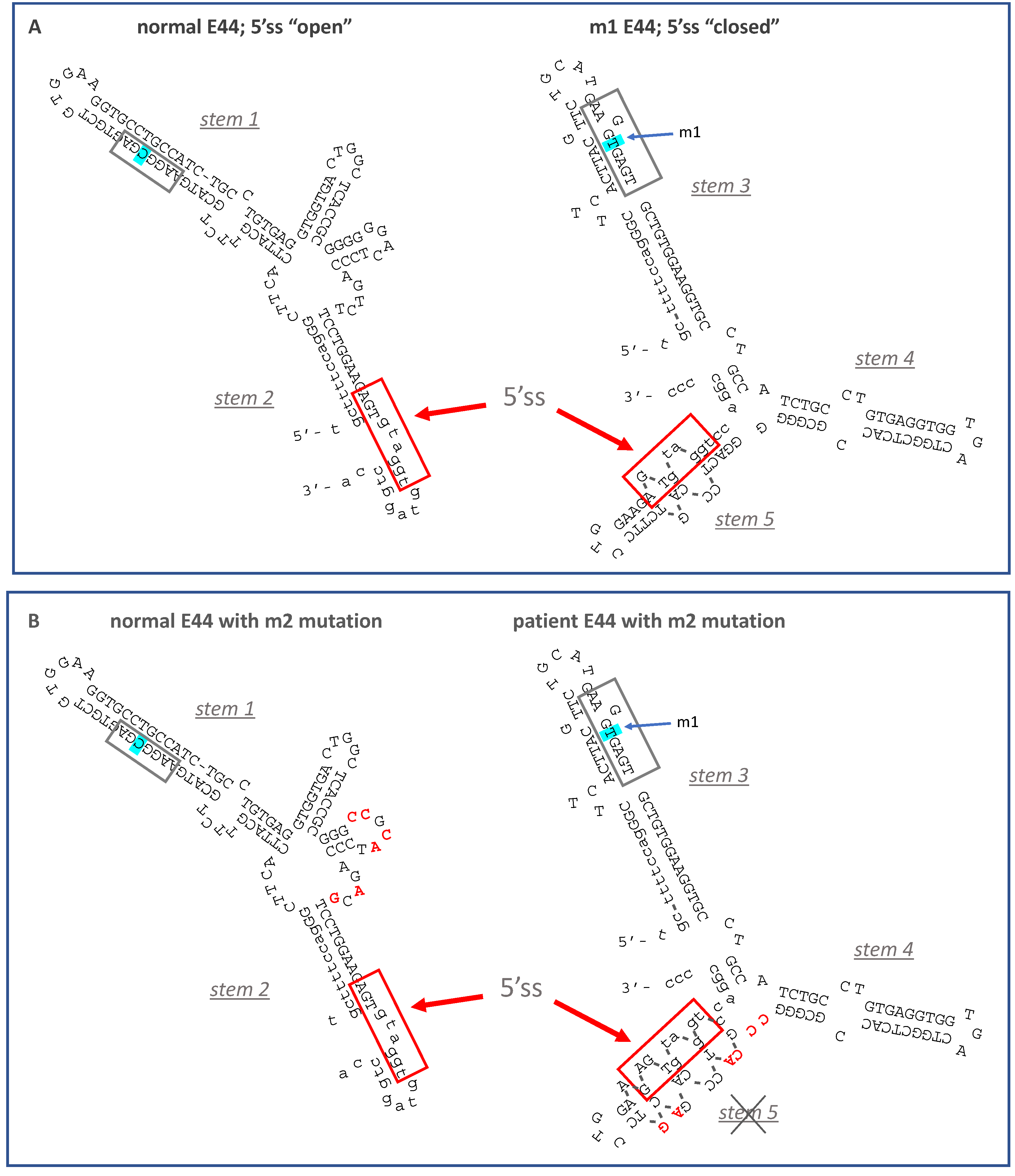 Ijms 22 13248 g002 Ijms 22 13248 g002