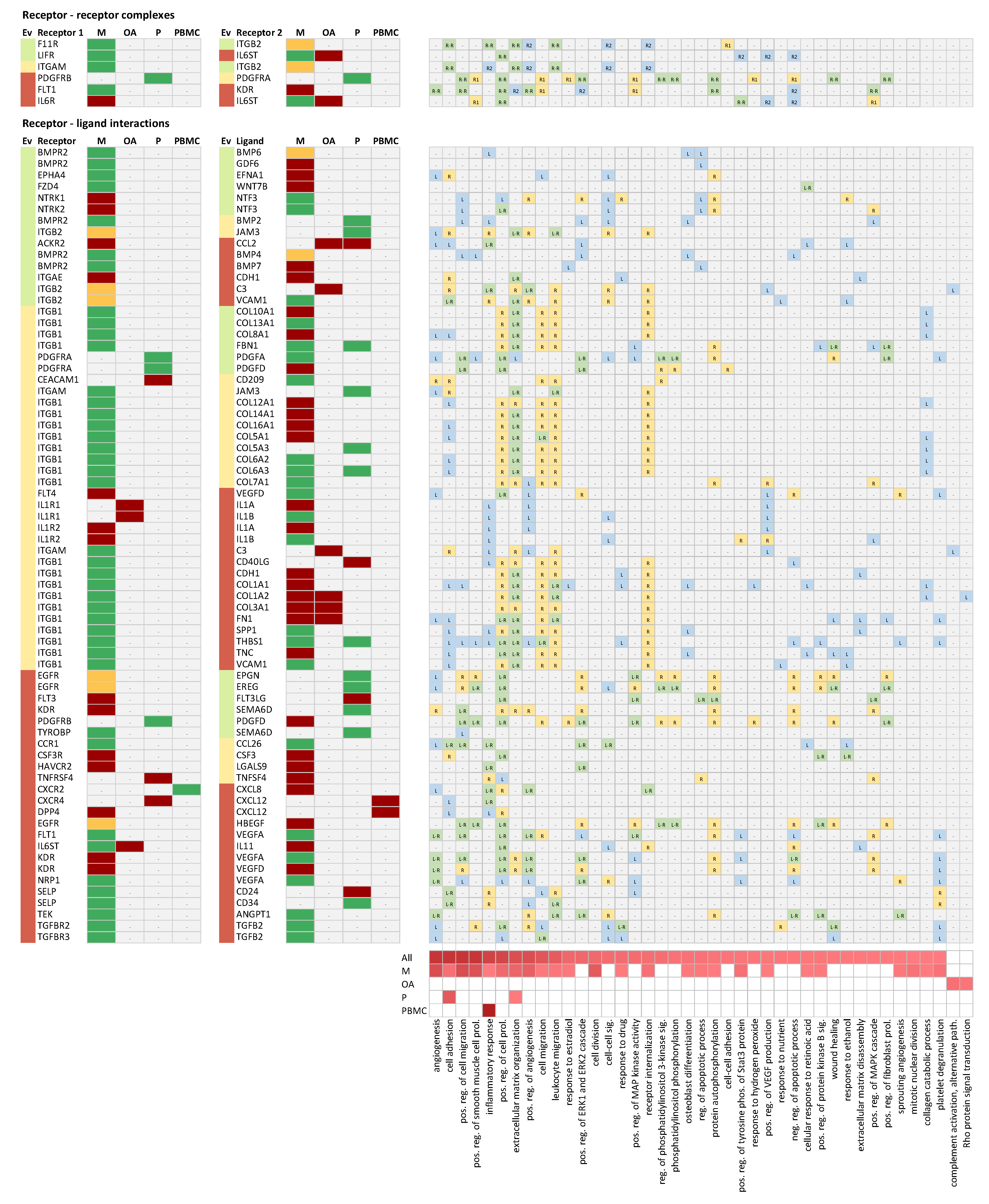 Ijms 22 13277 g002 Ijms 22 13277 g002