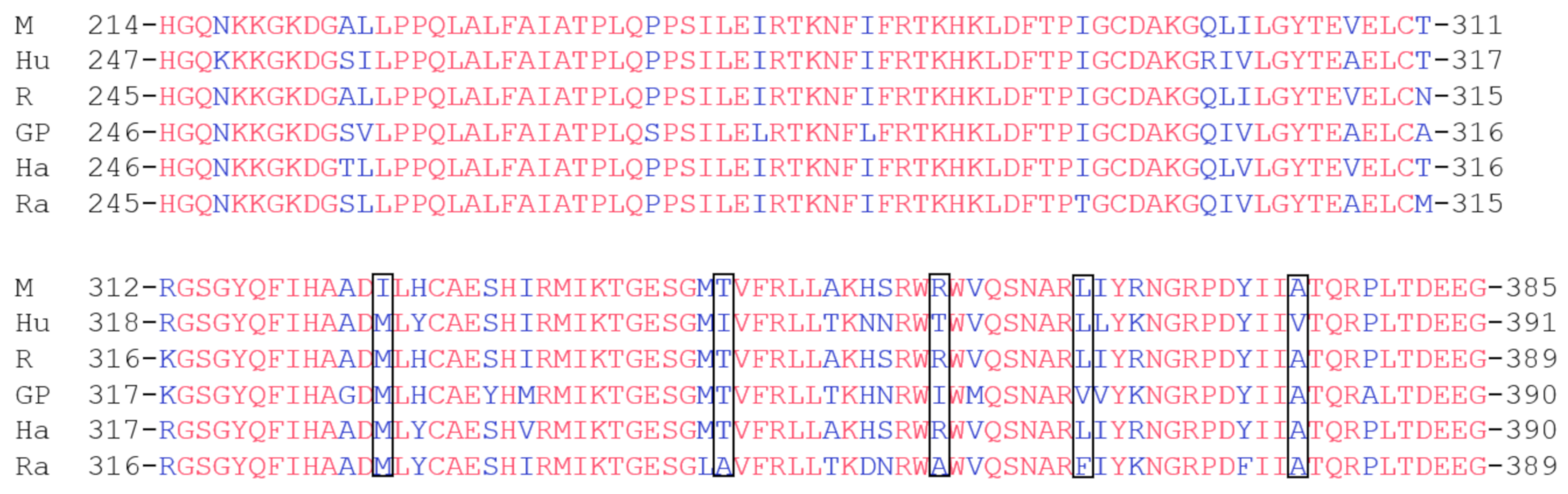 Ijms 22 13293 g003 Ijms 22 13293 g003