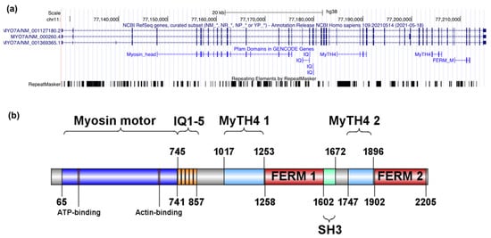 Ijms 22 13294 g0a1 550