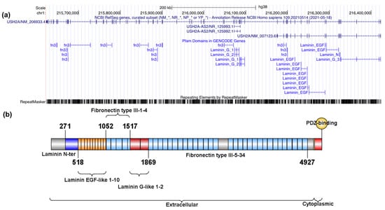 Ijms 22 13294 g0a2 550