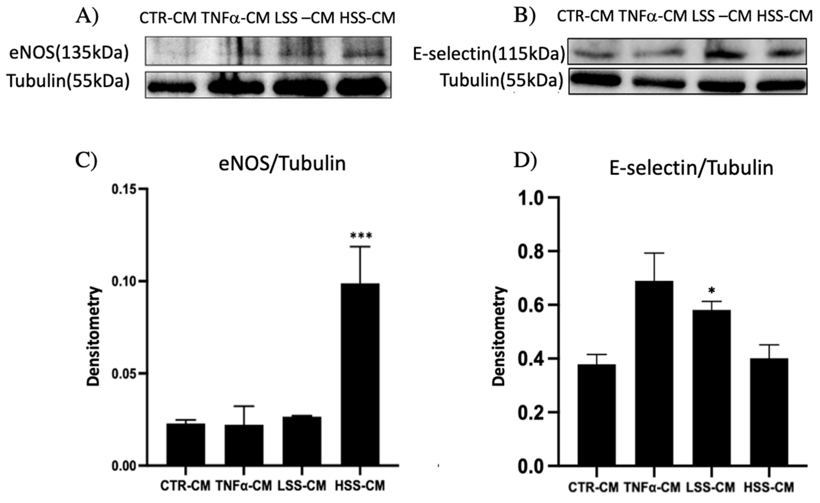 Ijms 22 13300 g007 Ijms 22 13300 g007