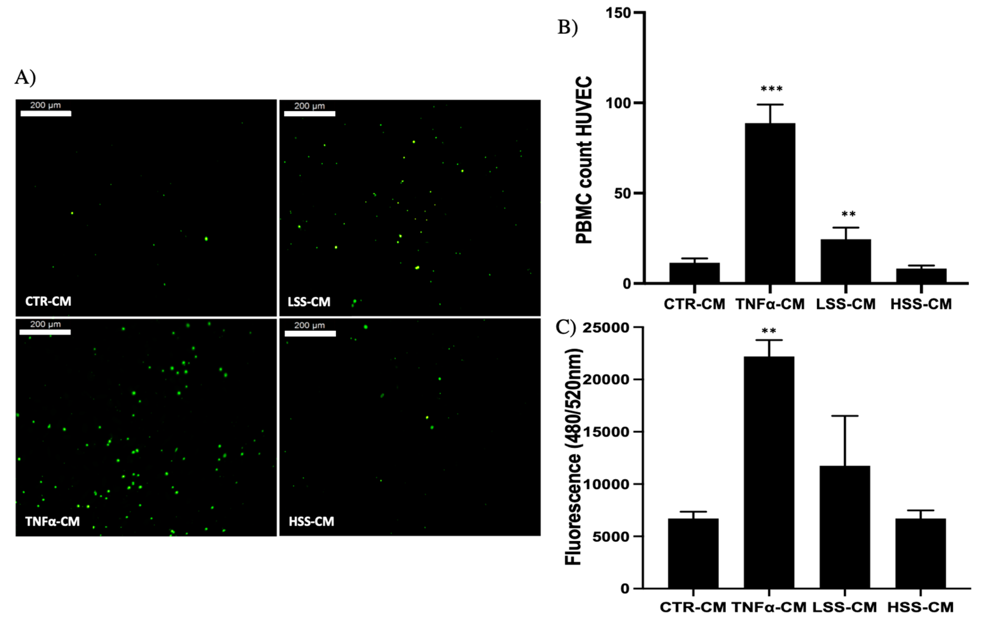 Ijms 22 13300 g009 Ijms 22 13300 g009