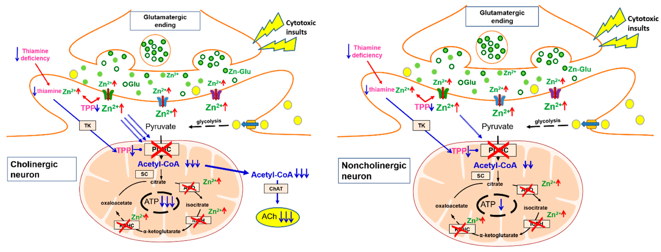Ijms 22 13337 sch001