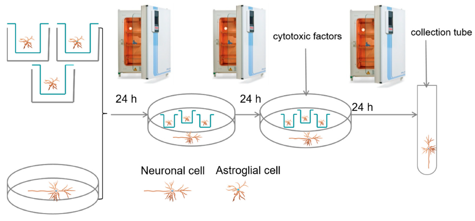 Ijms 22 13337 sch002