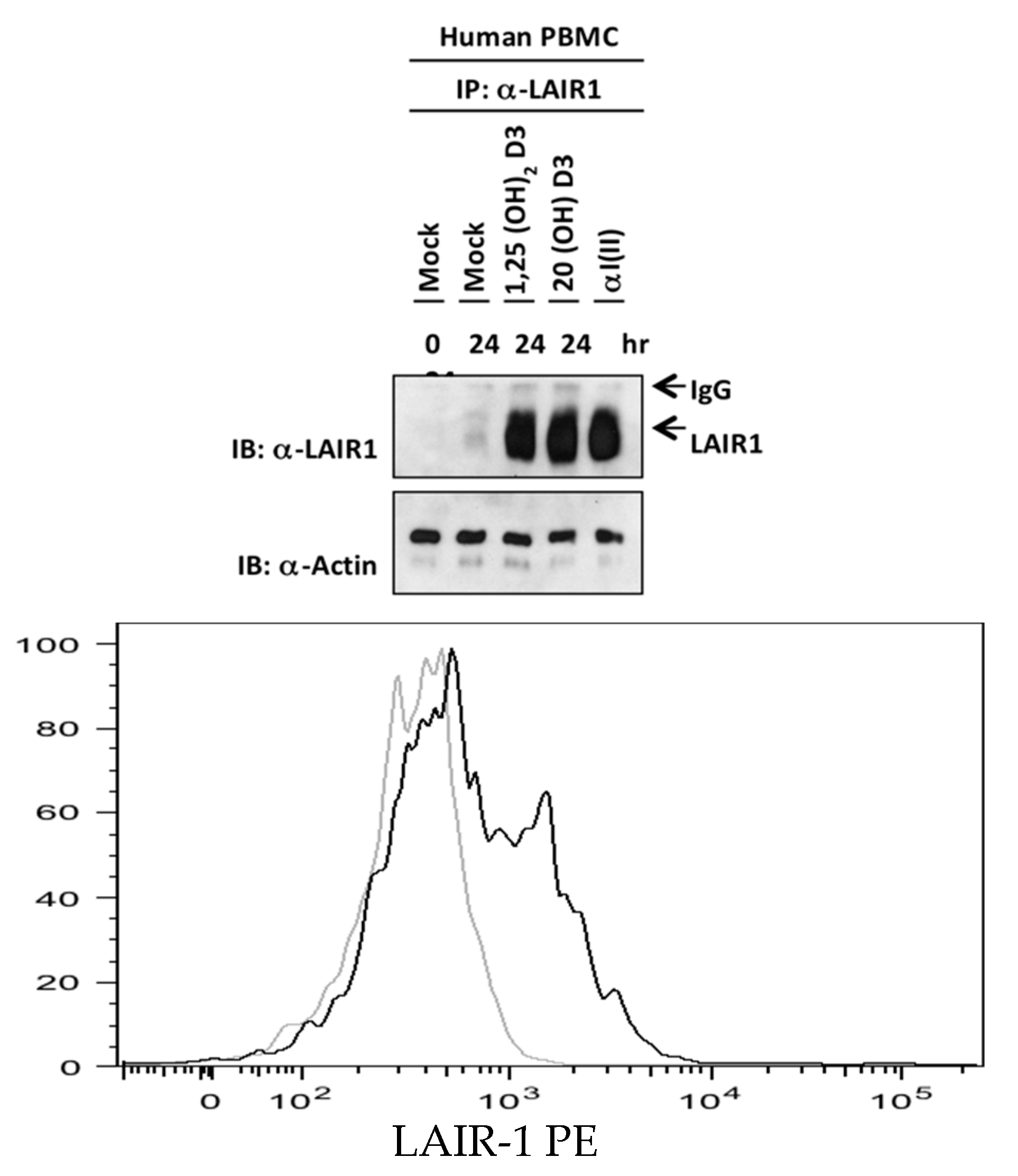 Ijms 22 13342 g003 Ijms 22 13342 g003