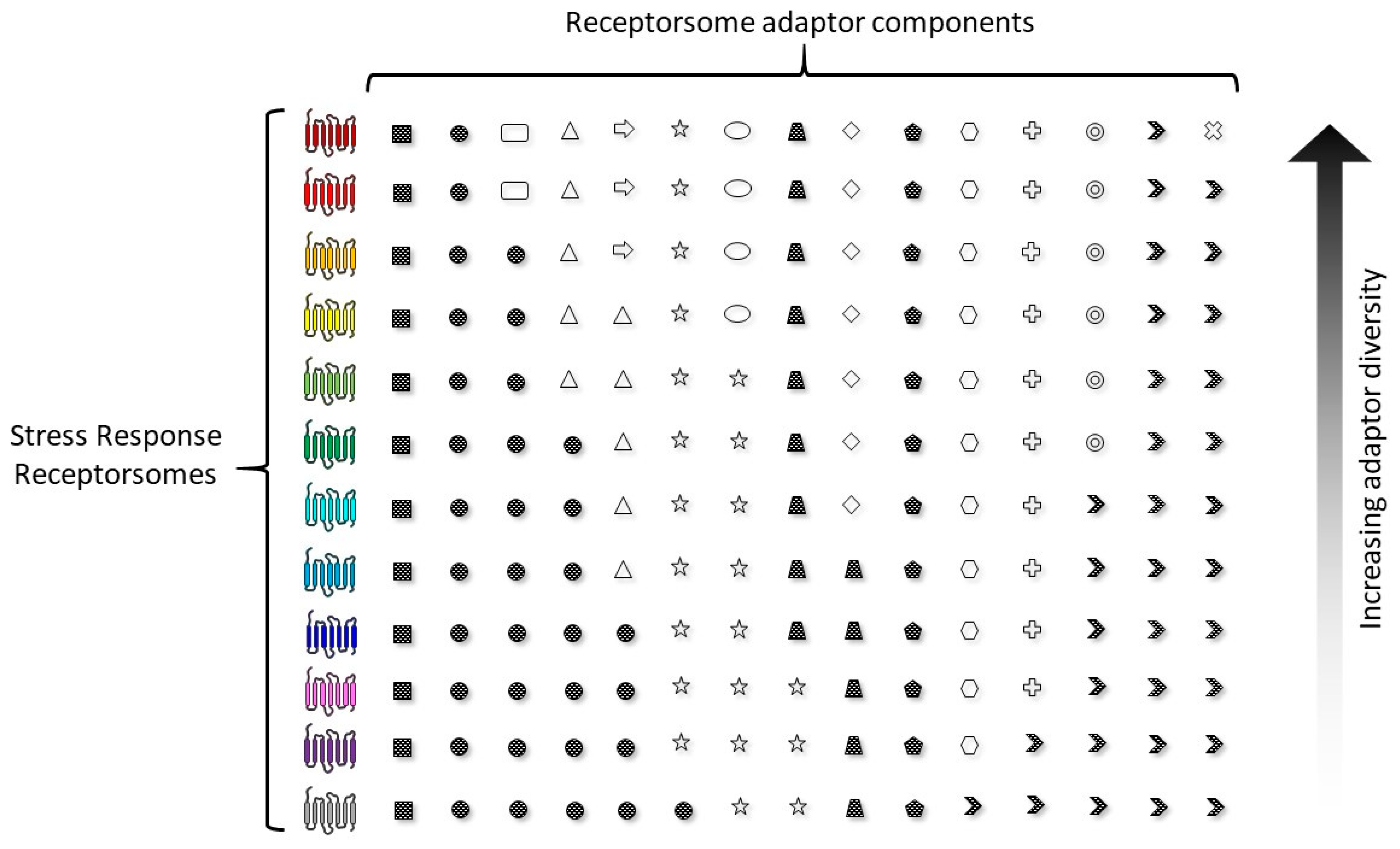 Ijms 22 13387 g001 Ijms 22 13387 g001