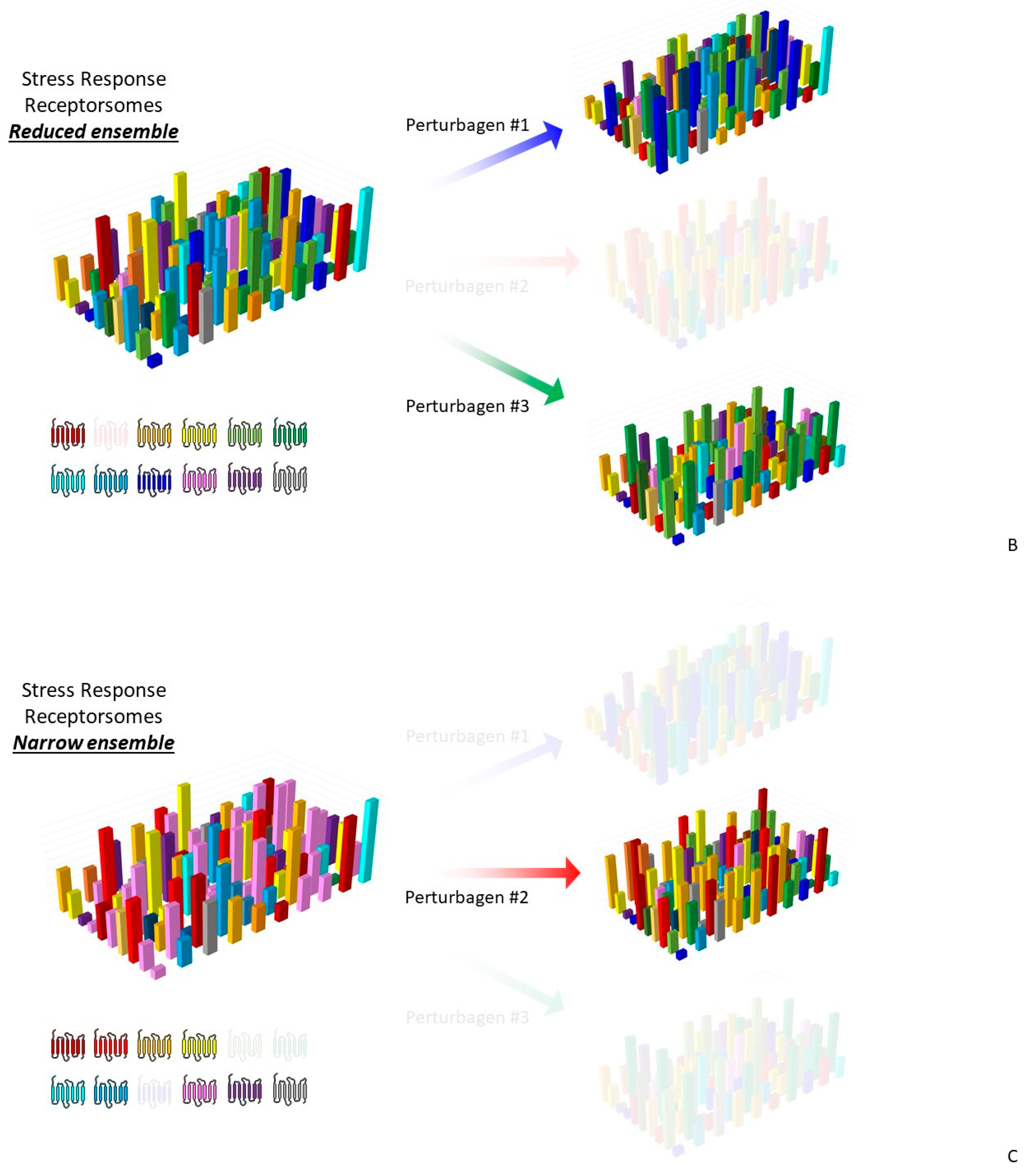 Ijms 22 13387 g002b Ijms 22 13387 g002b