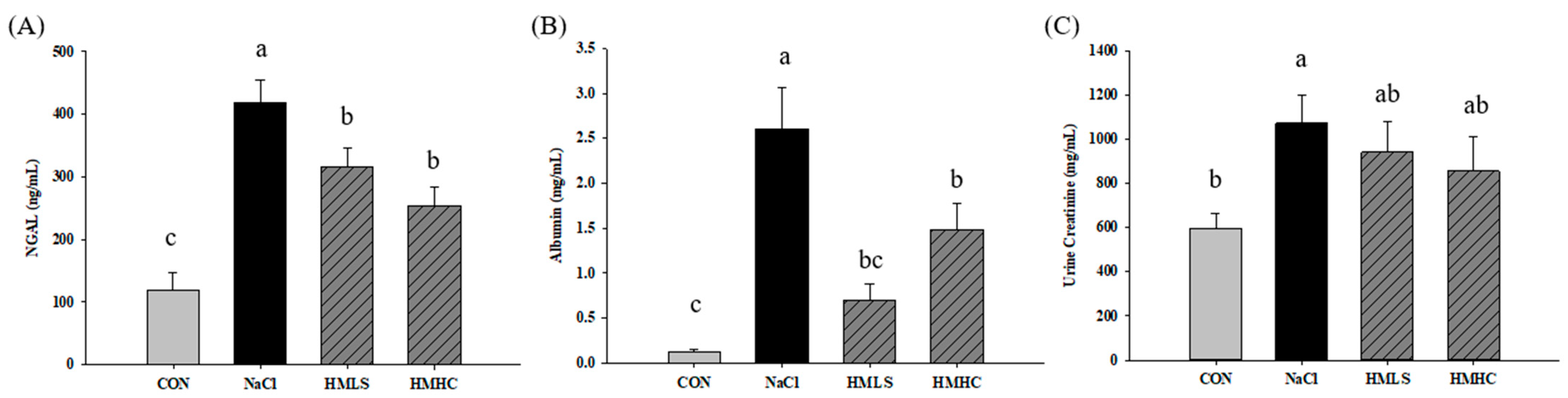 Ijms 22 13415 g002 Ijms 22 13415 g002