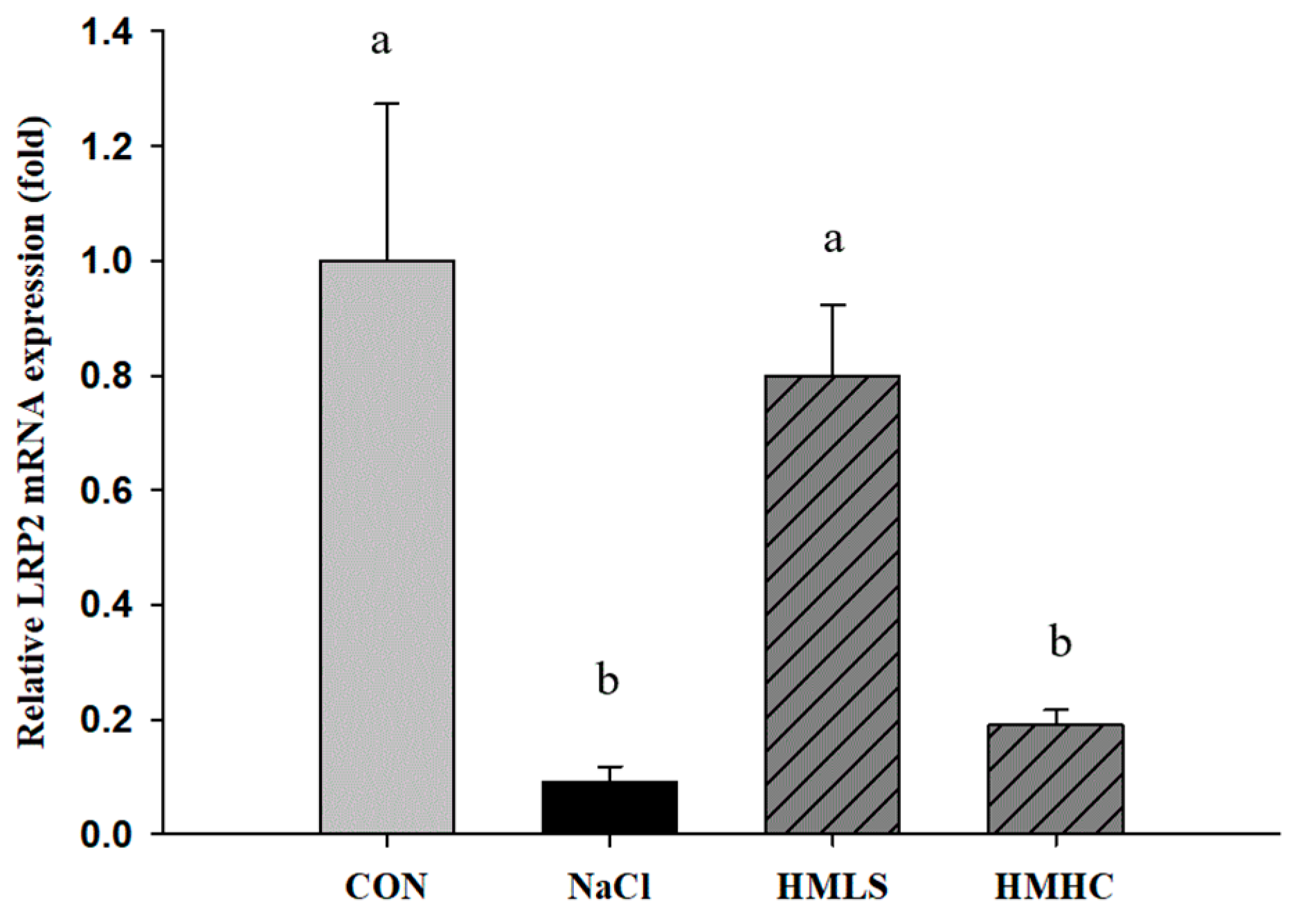 Ijms 22 13415 g003 Ijms 22 13415 g003
