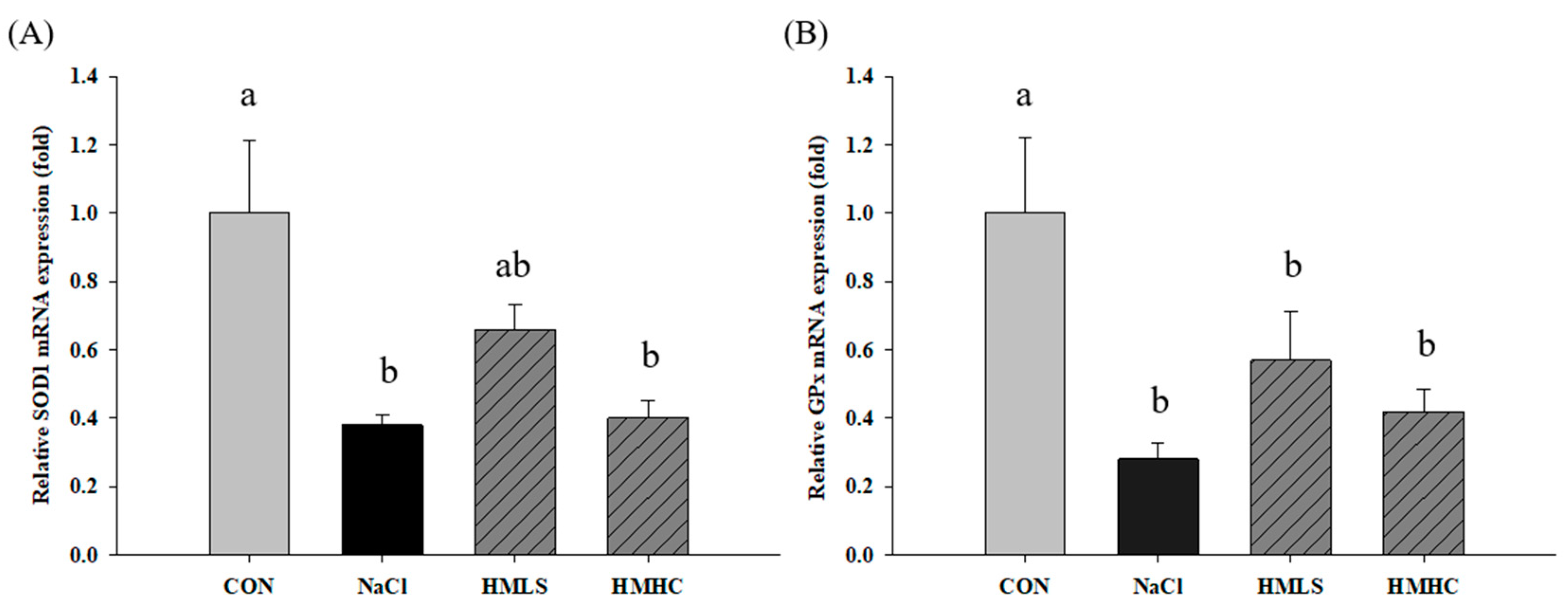 Ijms 22 13415 g005a Ijms 22 13415 g005a