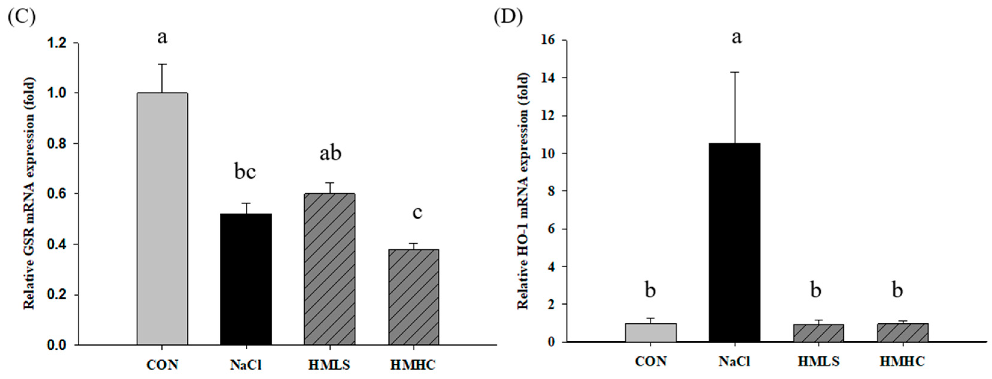 Ijms 22 13415 g005b Ijms 22 13415 g005b