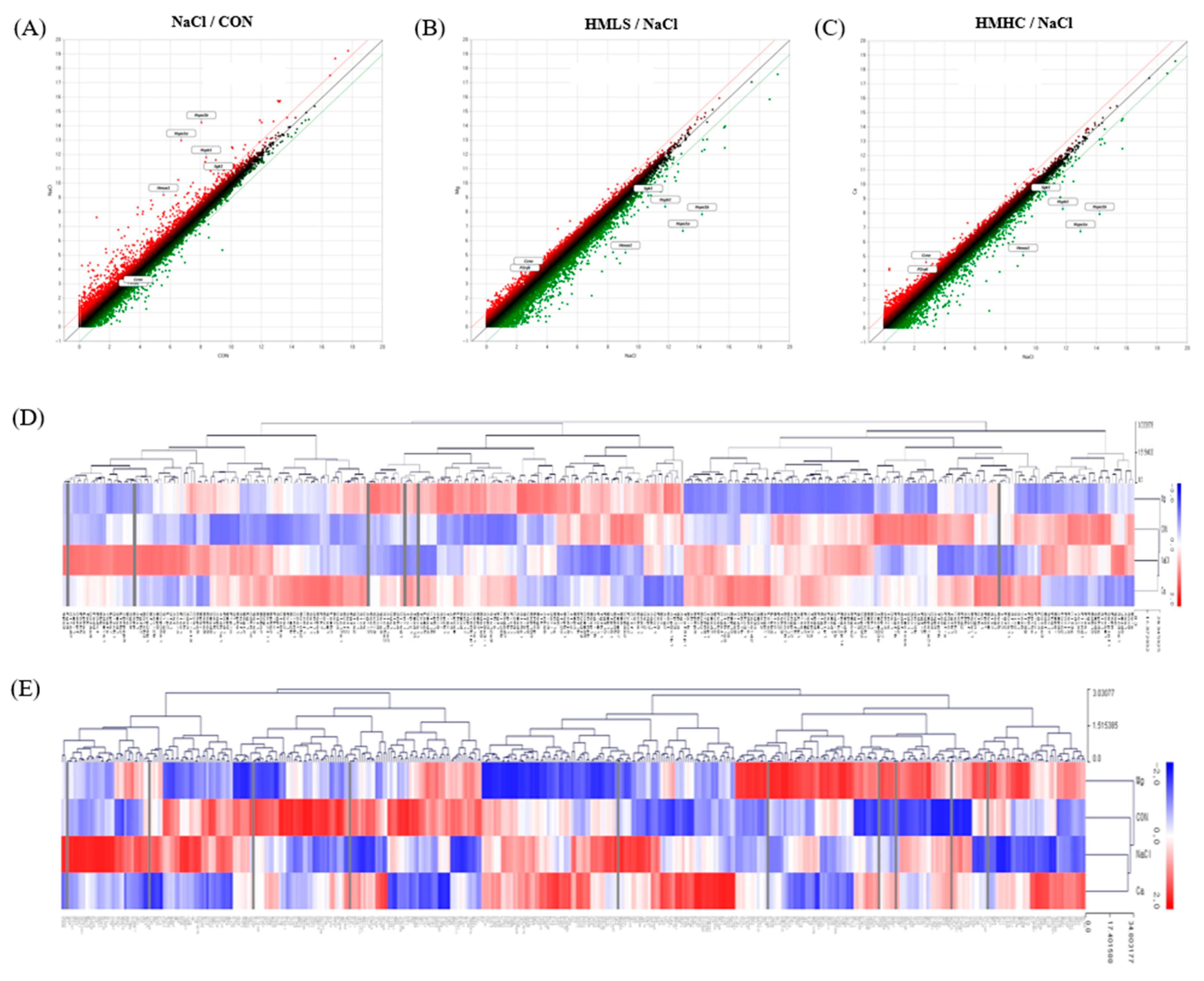Ijms 22 13415 g007 Ijms 22 13415 g007