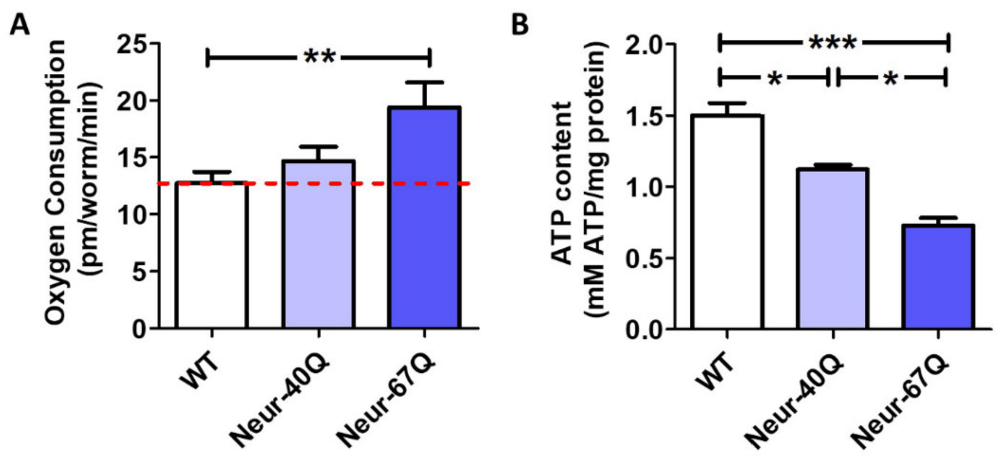 Ijms 22 13447 g002 Ijms 22 13447 g002
