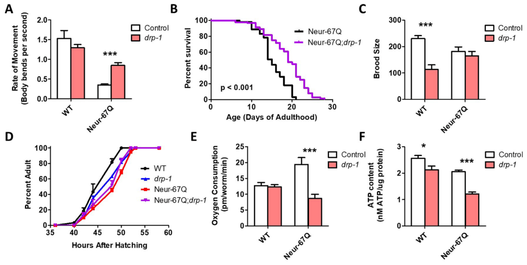 Ijms 22 13447 g003 Ijms 22 13447 g003
