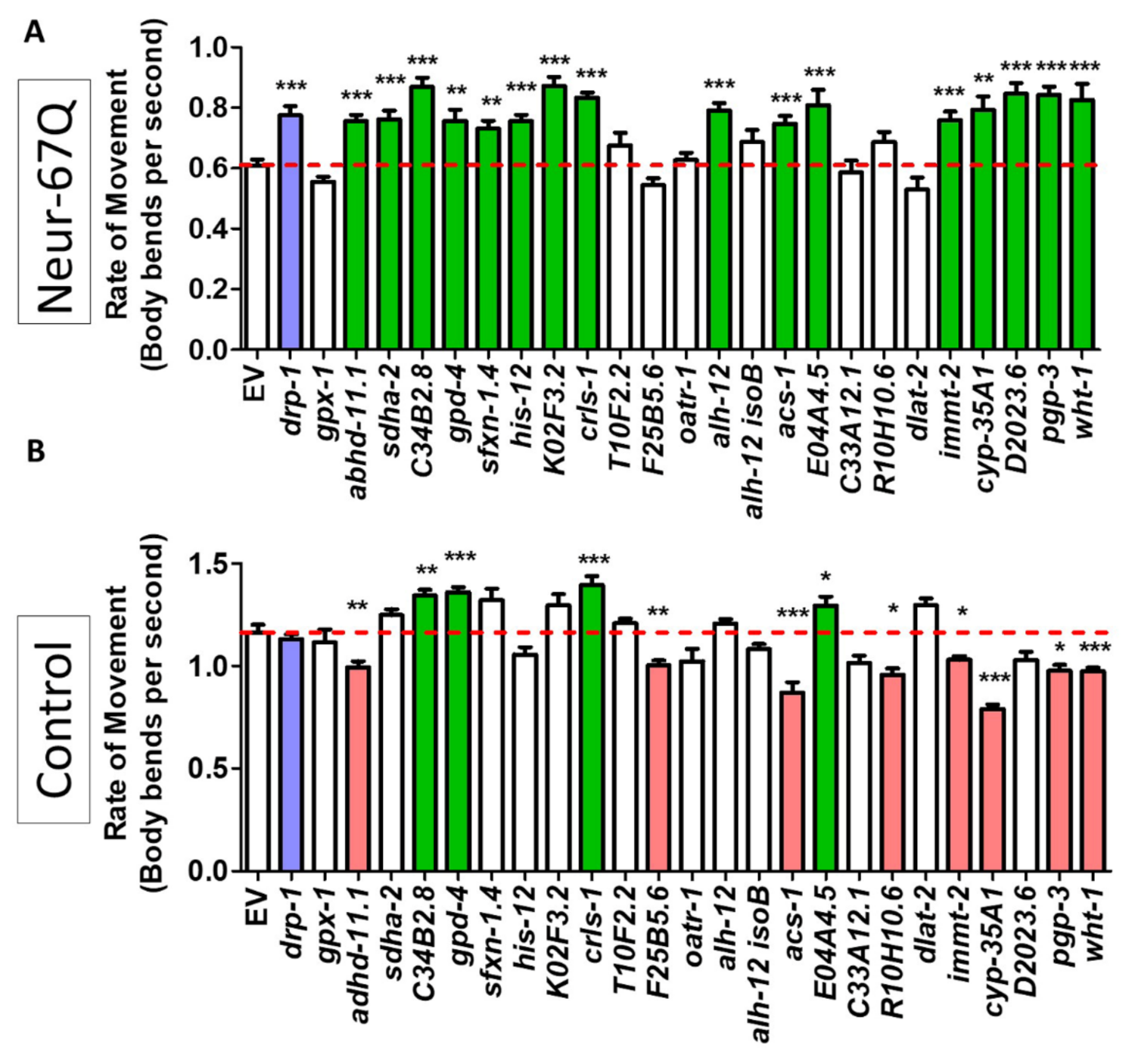 Ijms 22 13447 g005 Ijms 22 13447 g005