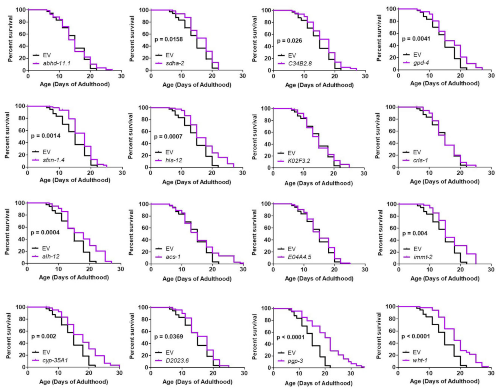 Ijms 22 13447 g006 Ijms 22 13447 g006