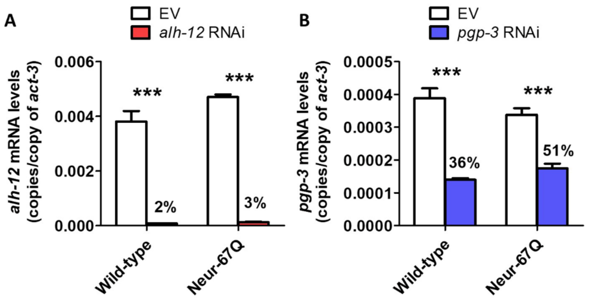 Ijms 22 13447 g007 Ijms 22 13447 g007