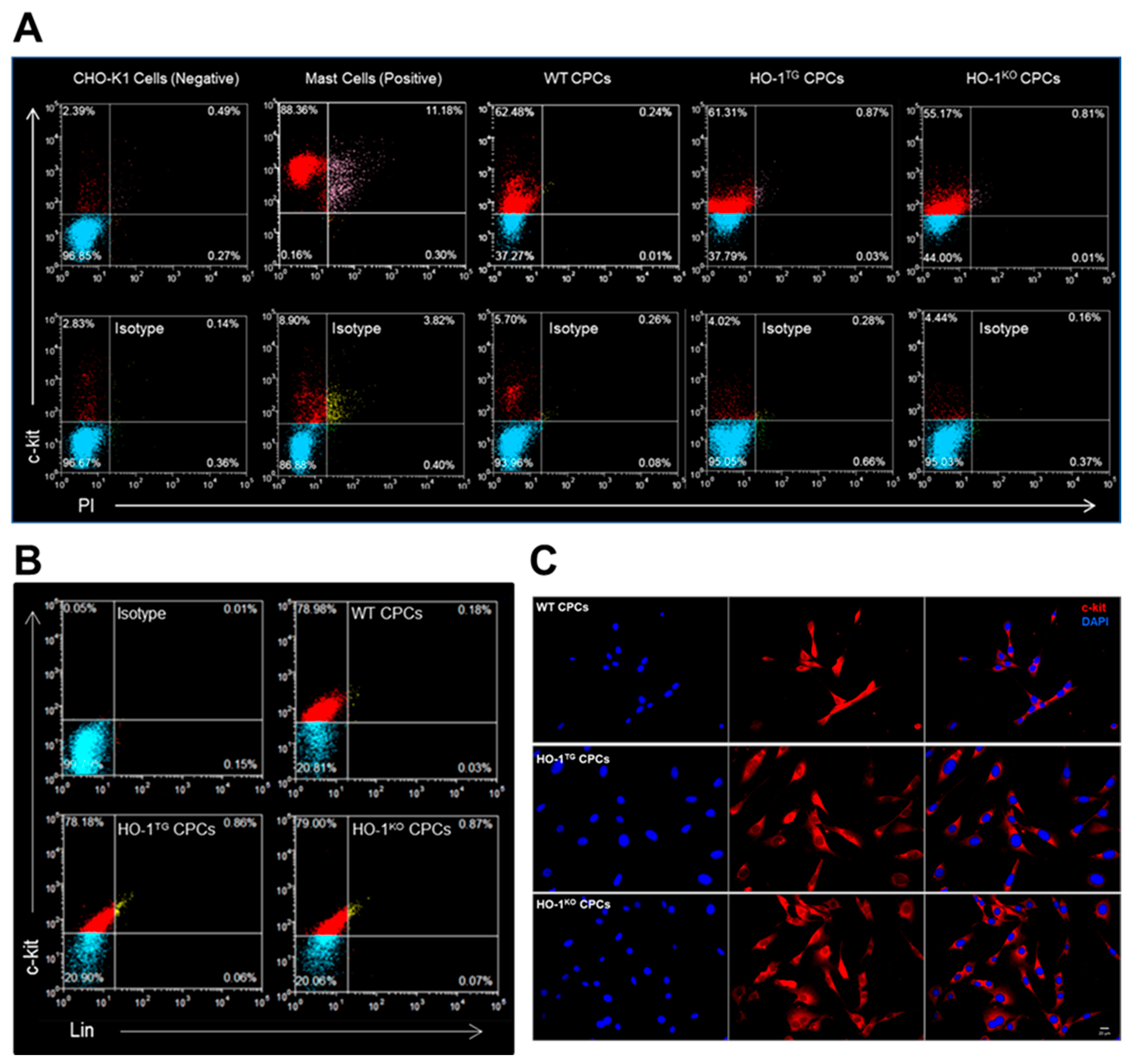 Ijms 22 13448 g002 Ijms 22 13448 g002
