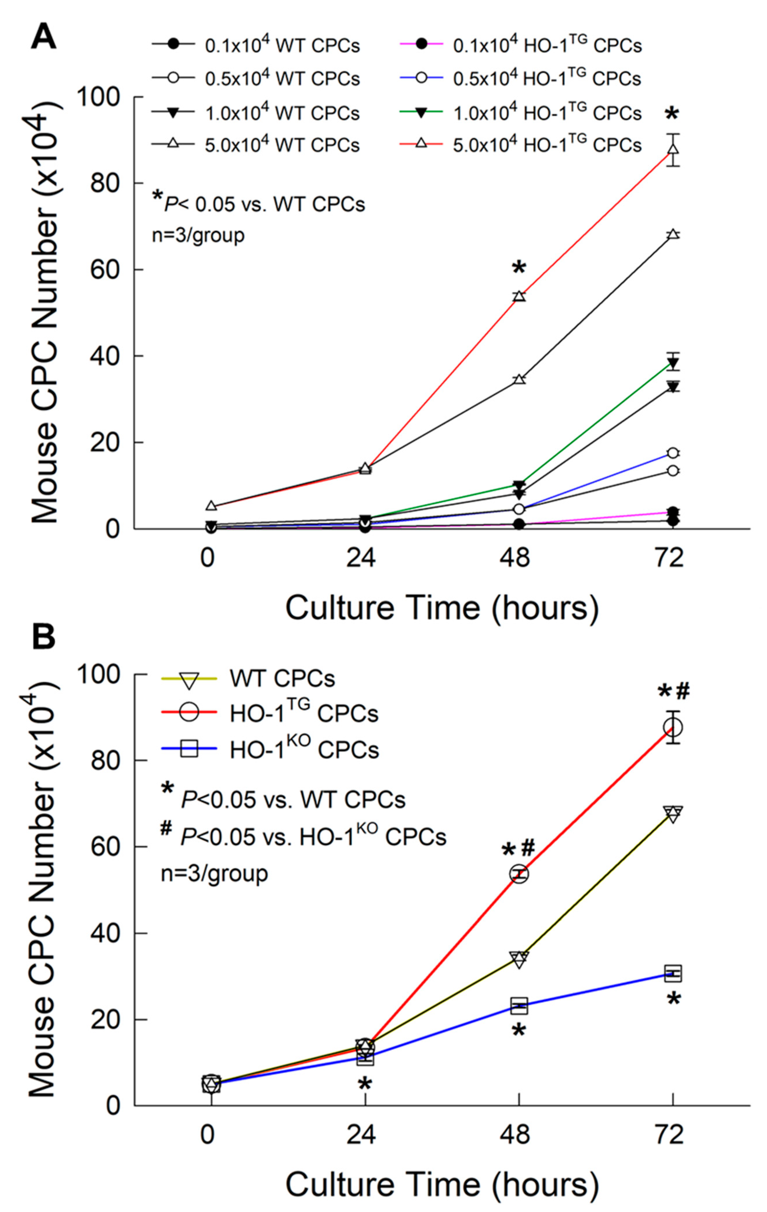 Ijms 22 13448 g003 Ijms 22 13448 g003