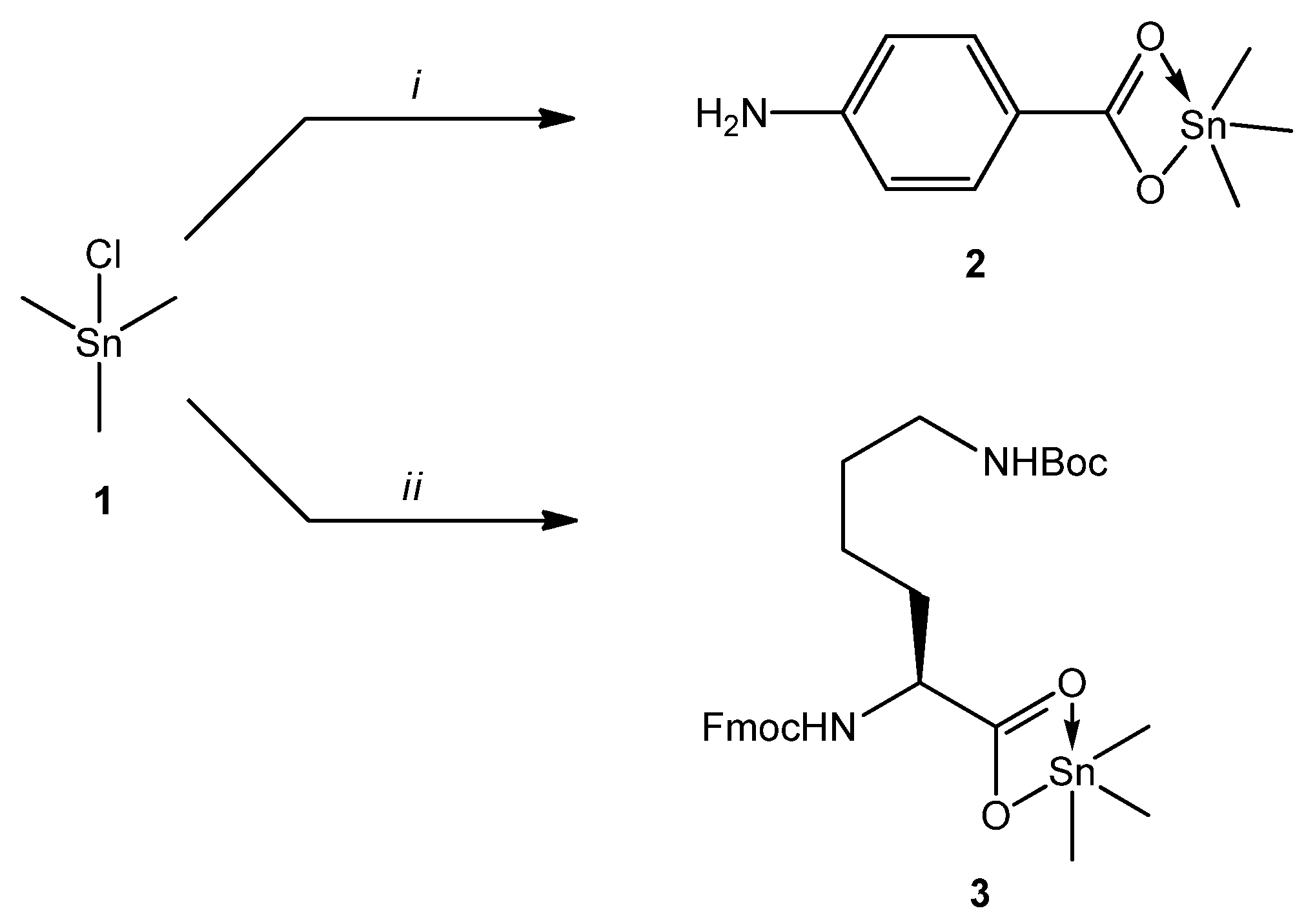 Ijms 22 13563 sch001