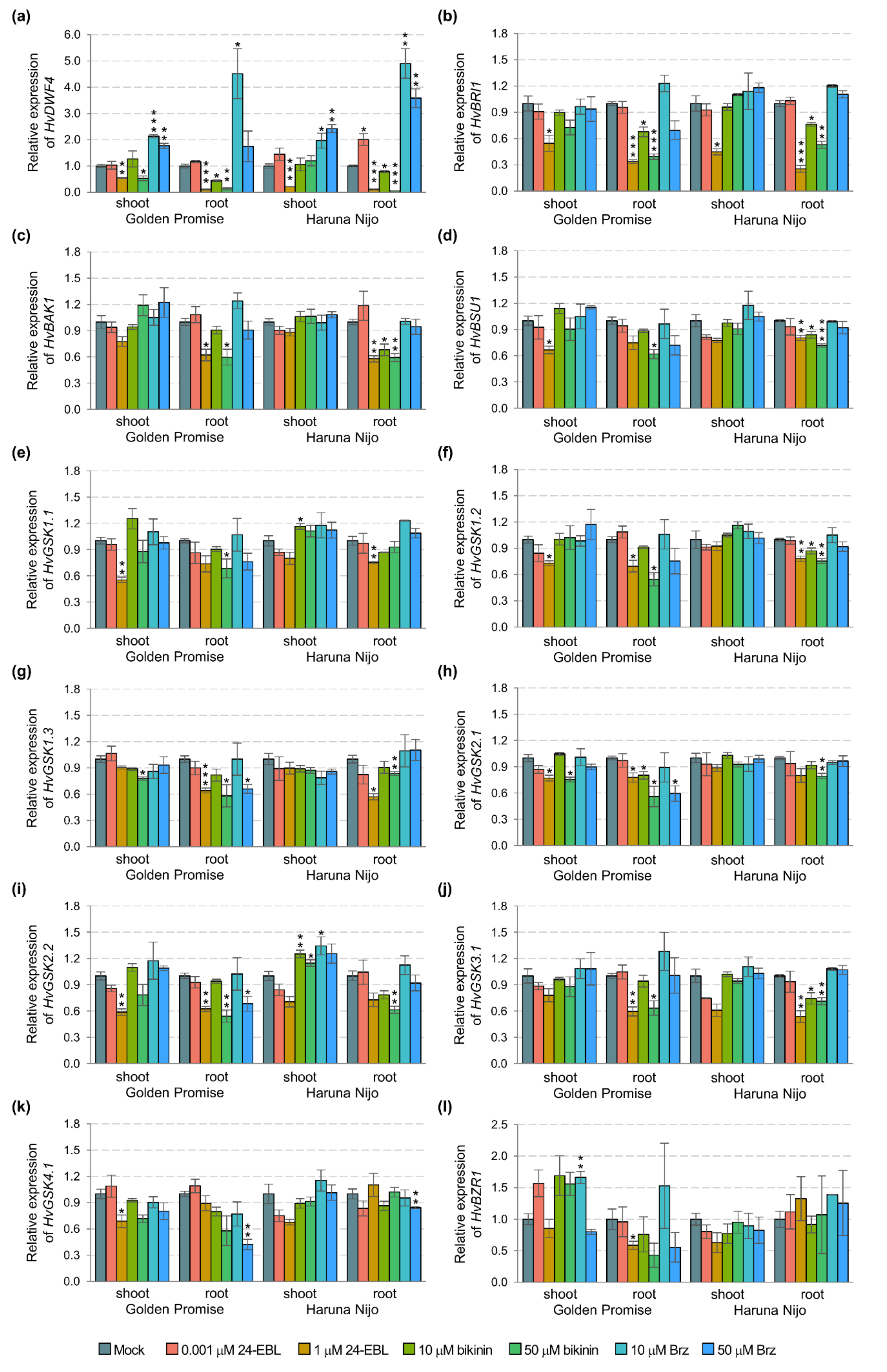 Ijms 22 13572 g003 Ijms 22 13572 g003