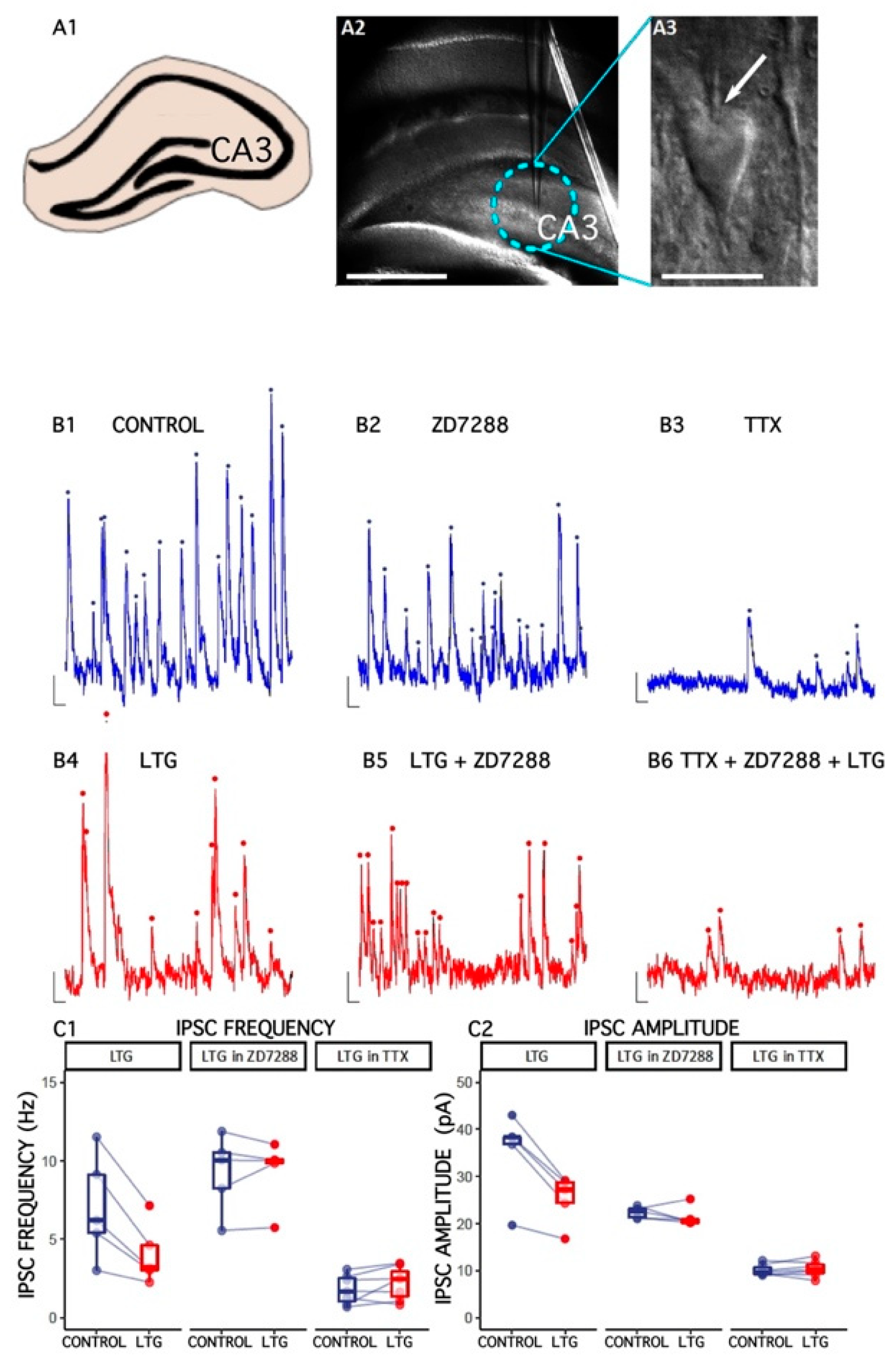 Ijms 22 13604 g001 Ijms 22 13604 g001
