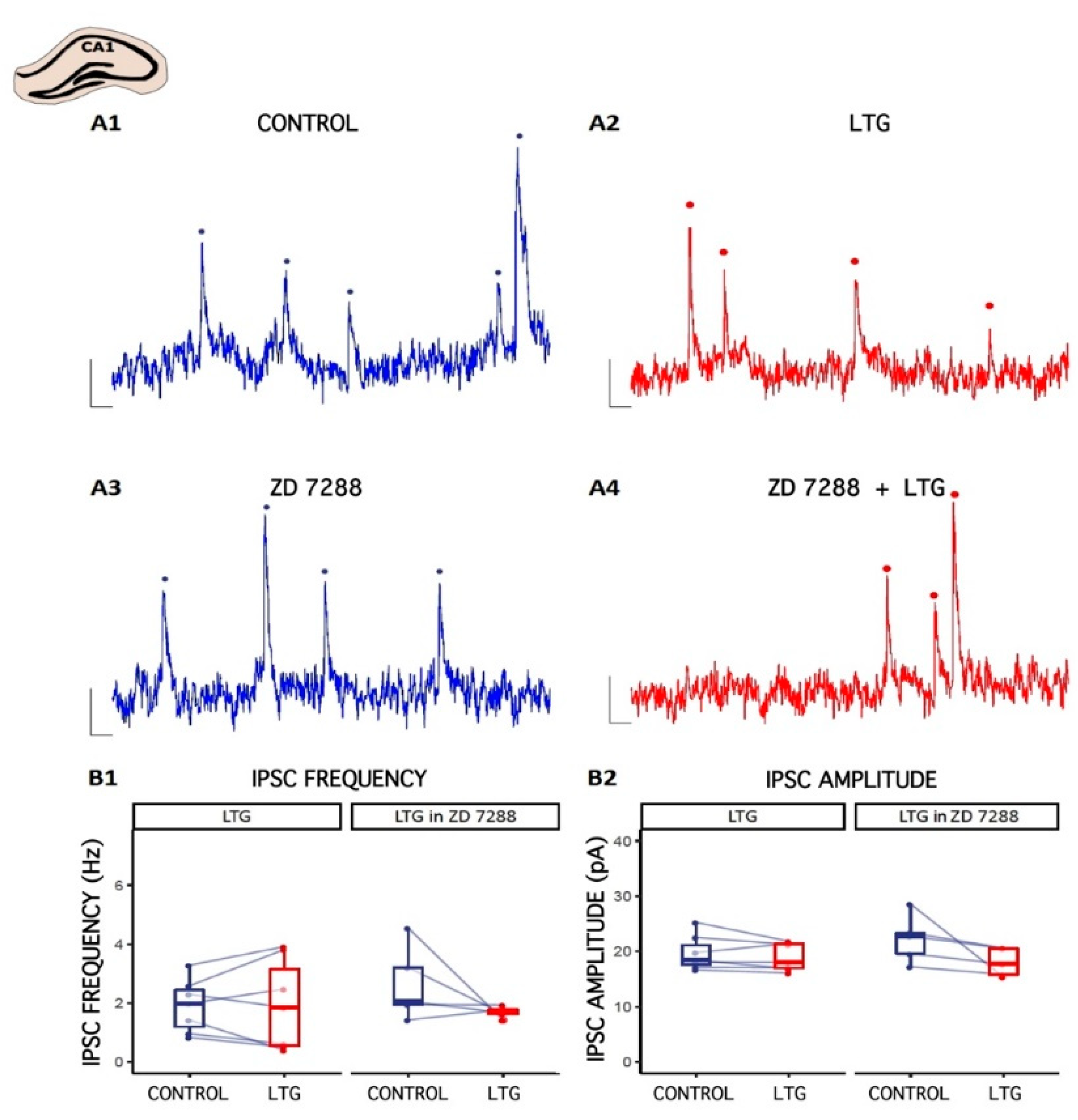 Ijms 22 13604 g002 Ijms 22 13604 g002