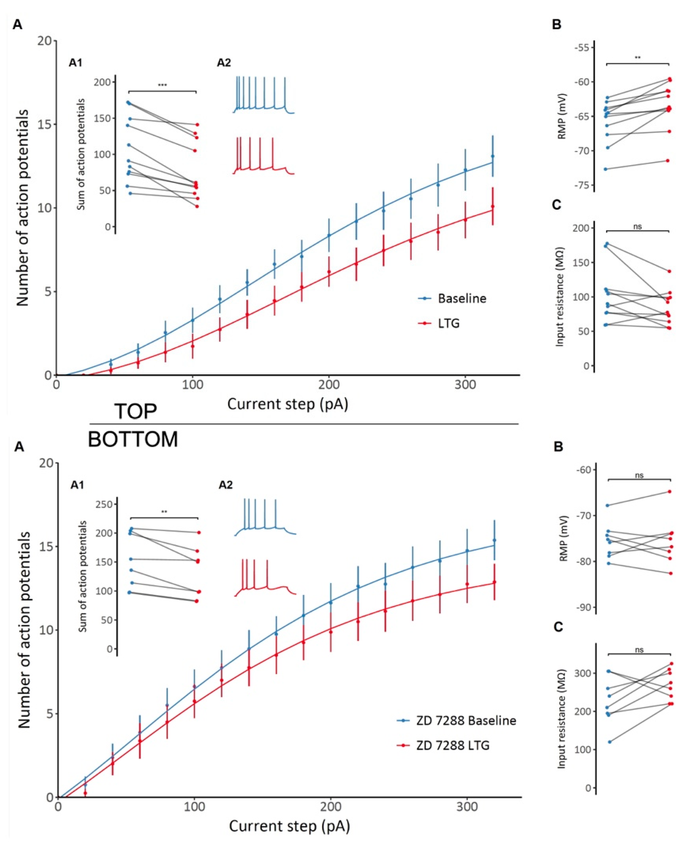 Ijms 22 13604 g004 Ijms 22 13604 g004