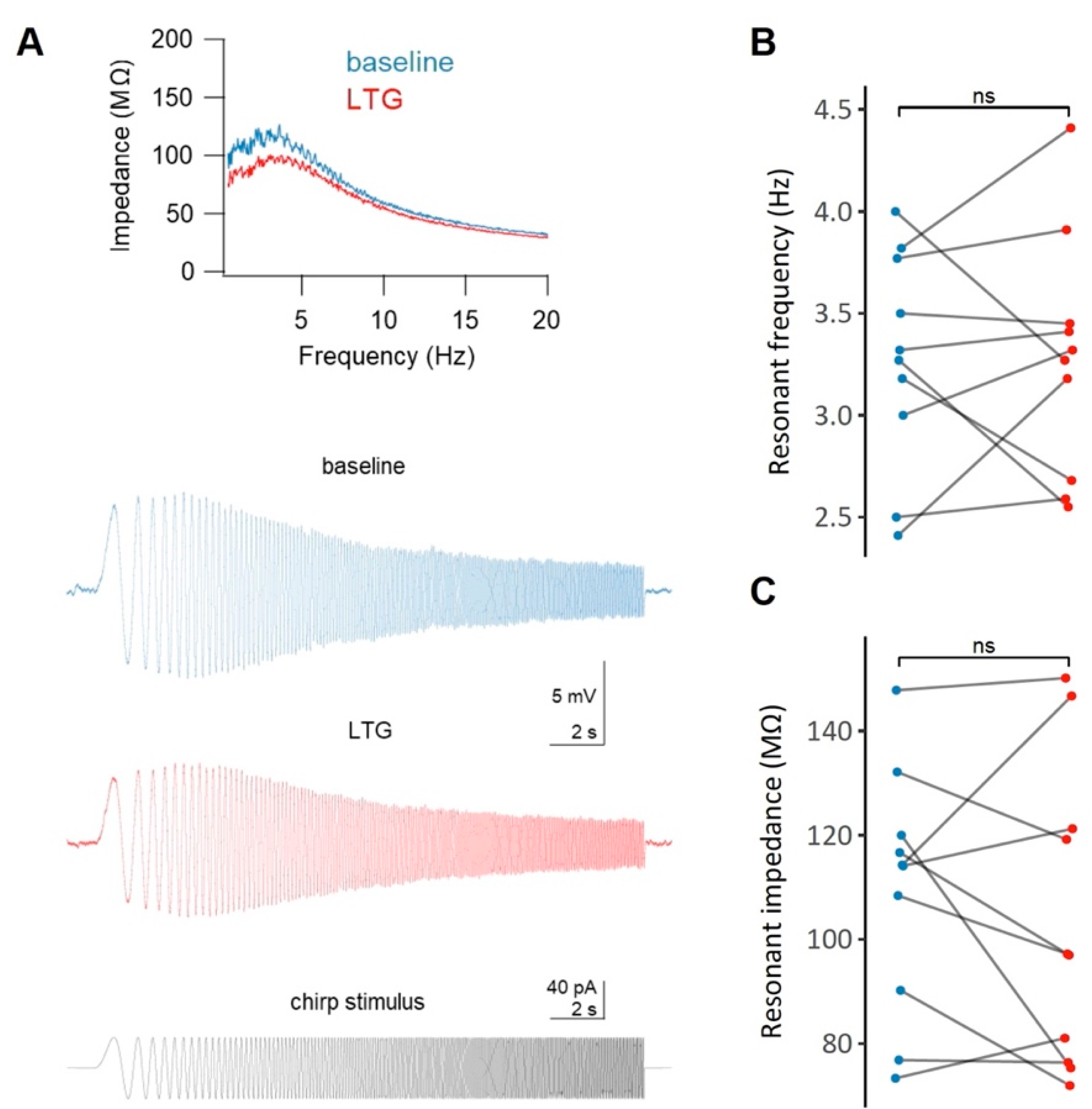 Ijms 22 13604 g005 Ijms 22 13604 g005