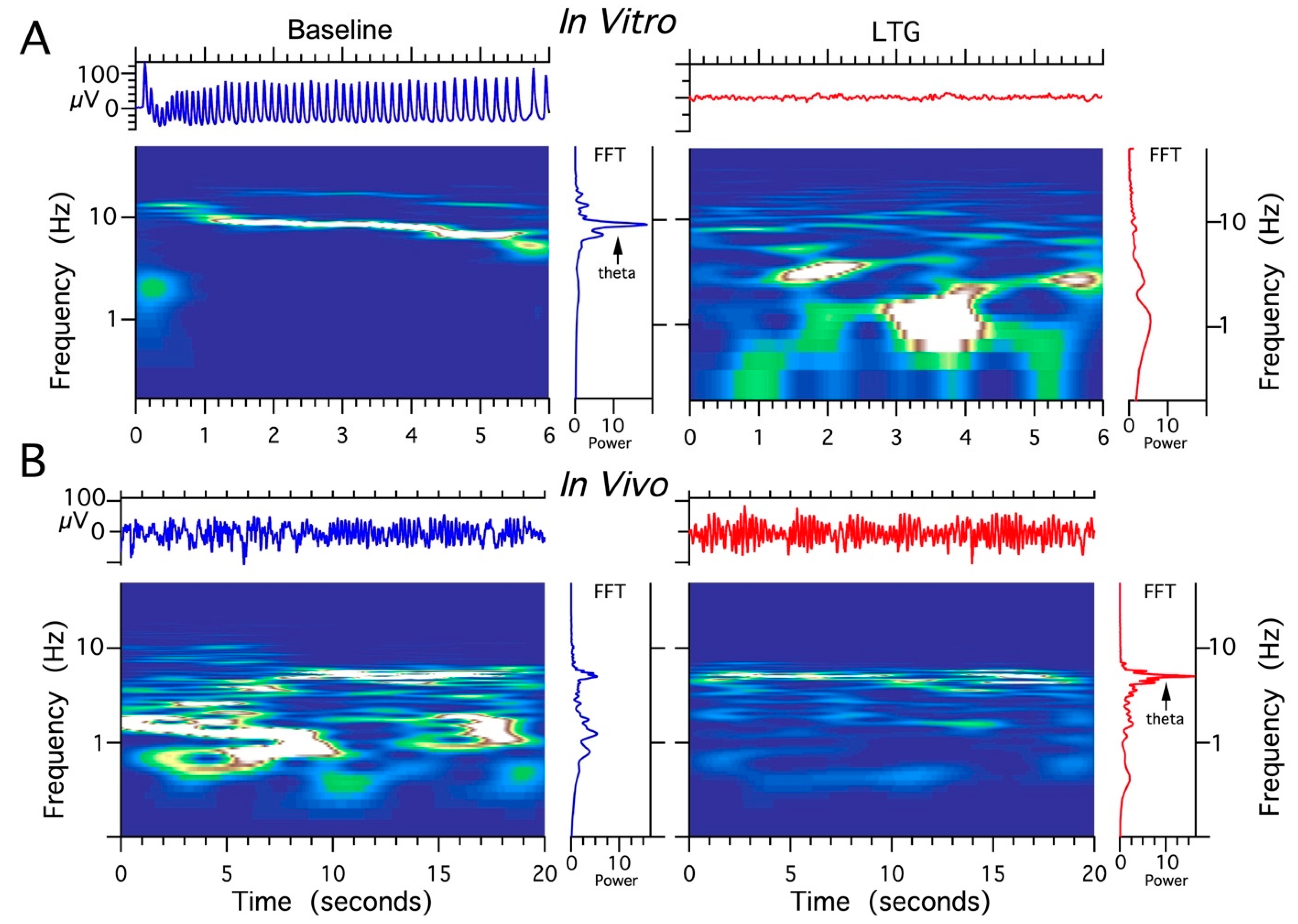 Ijms 22 13604 g006 Ijms 22 13604 g006