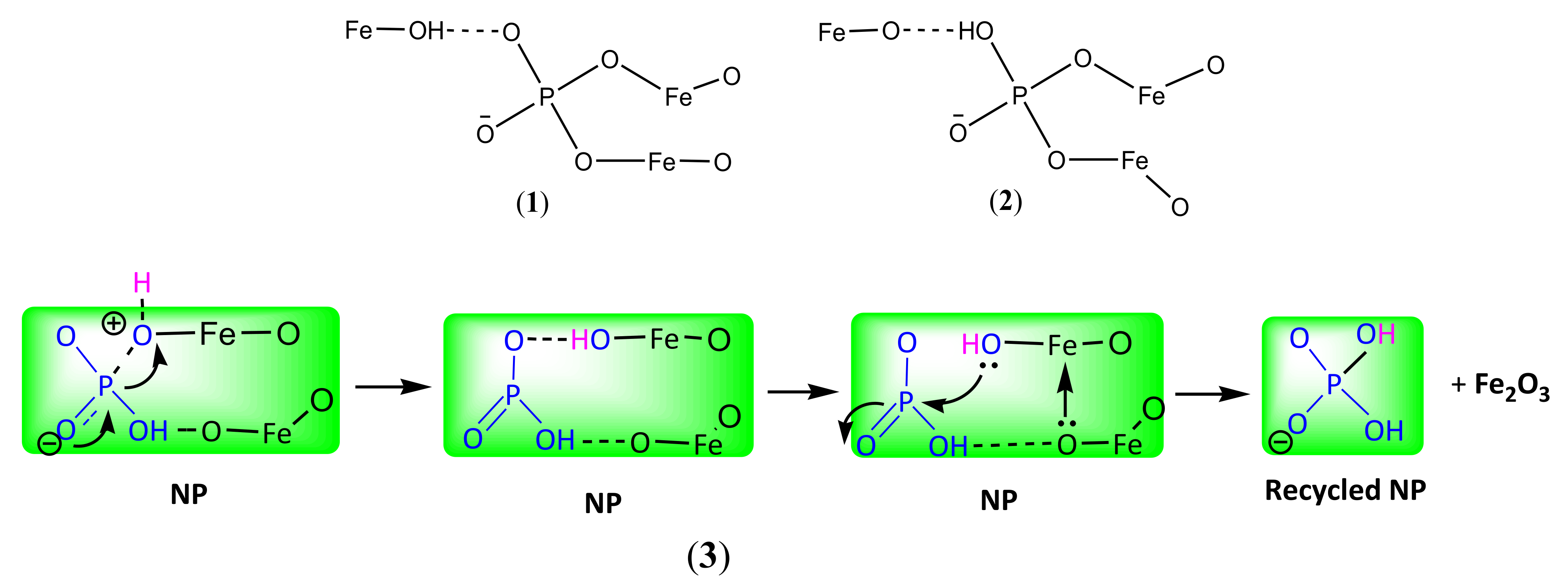 Ijms 22 13665 sch002