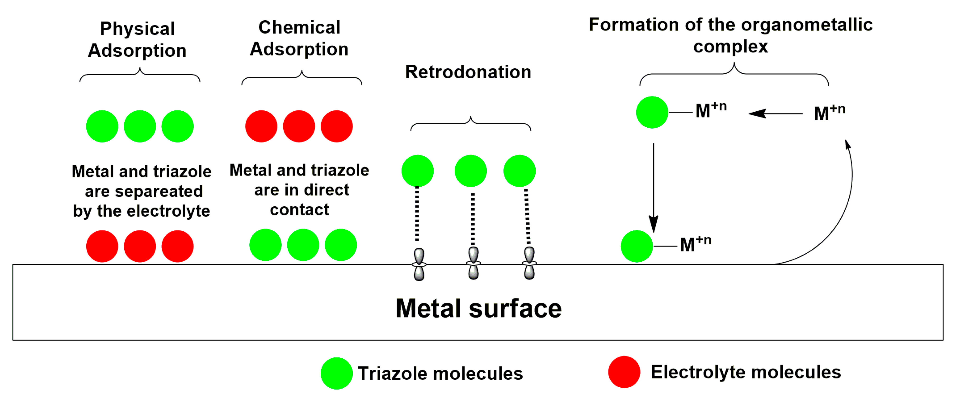 Ijms 23 00016 sch002