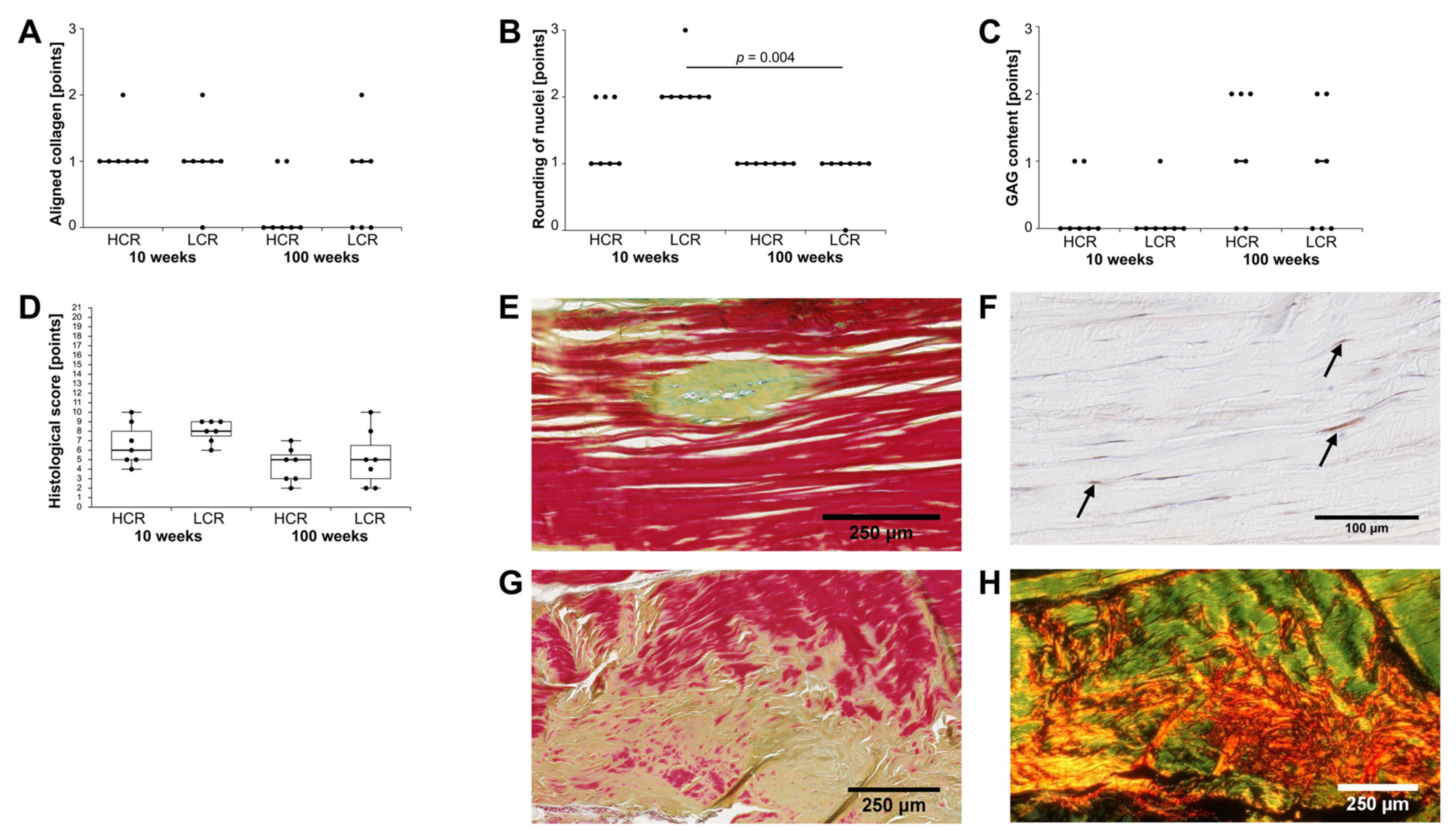 Ijms 23 00079 g007 Ijms 23 00079 g007